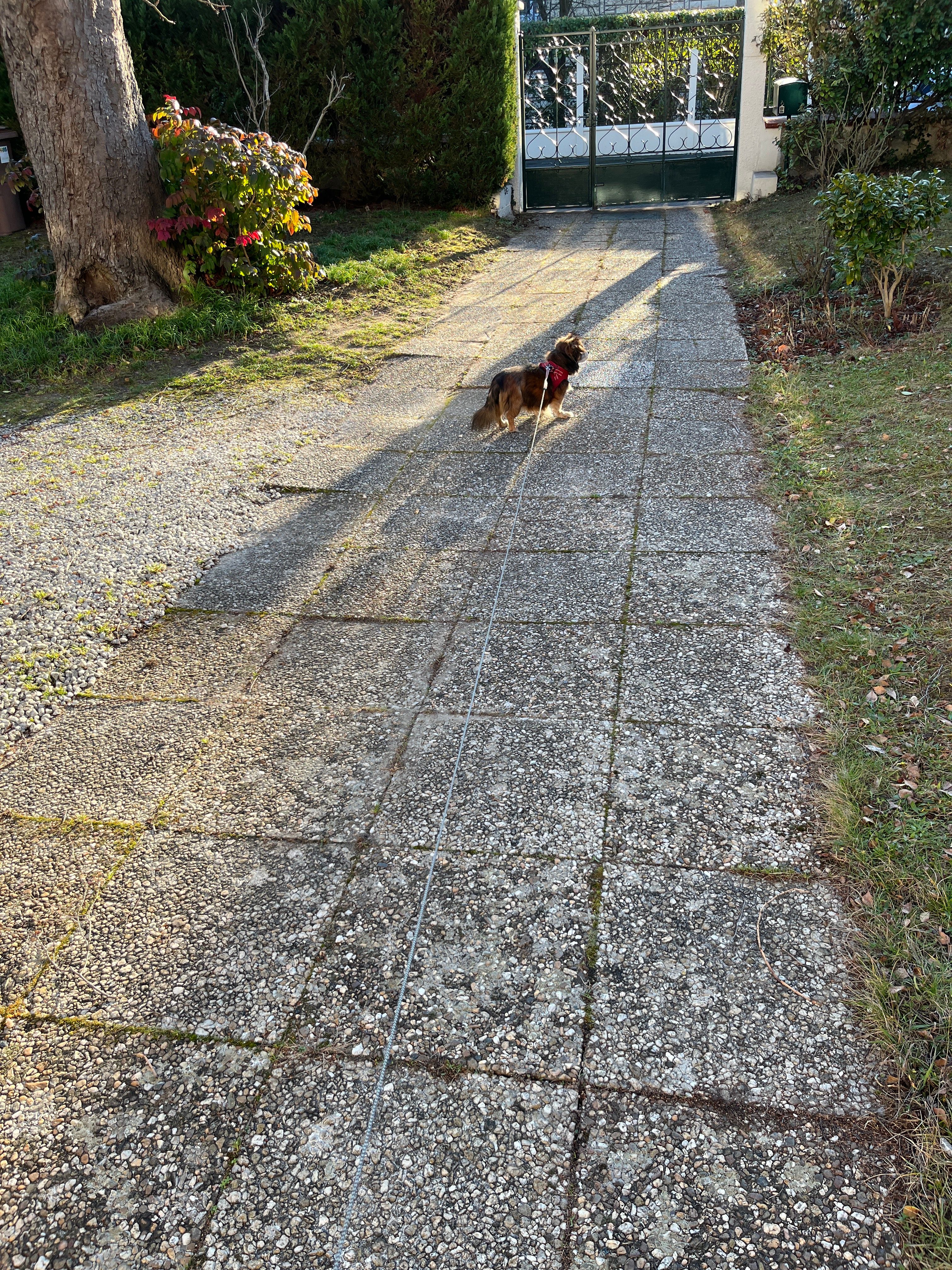 image-16