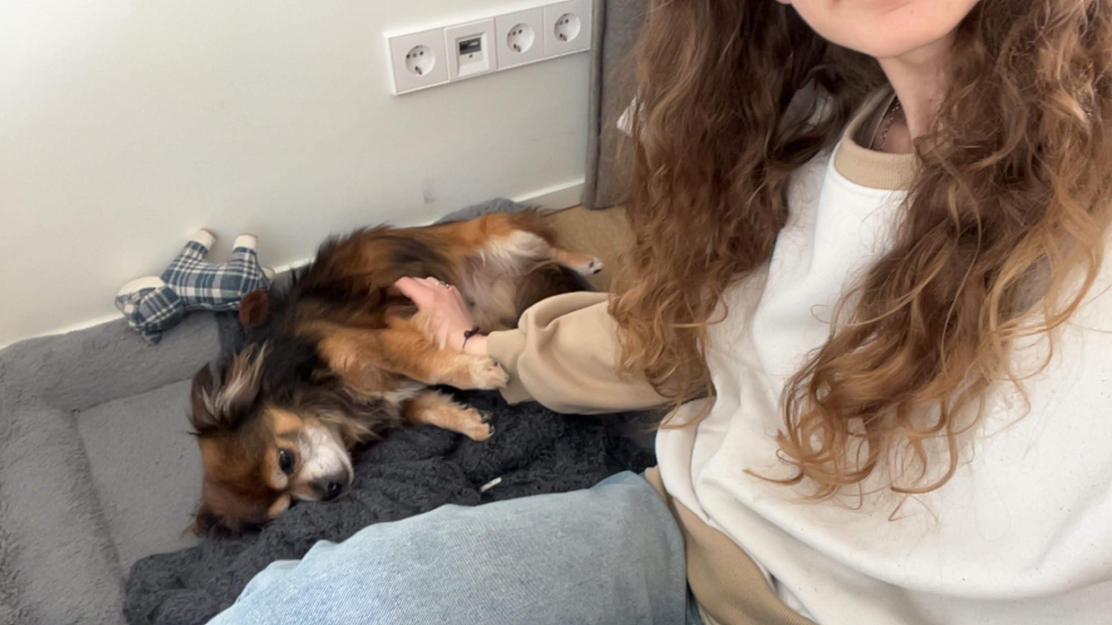 image-9