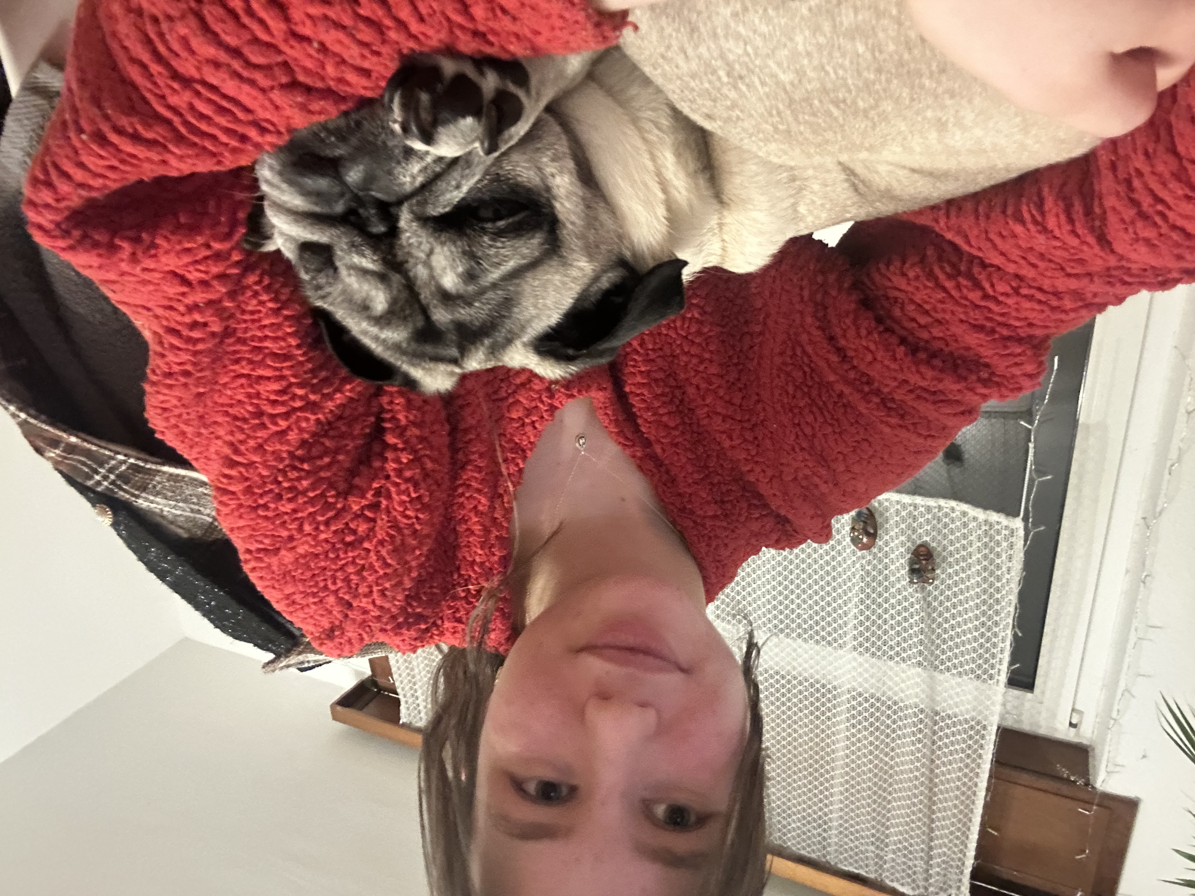 image-9