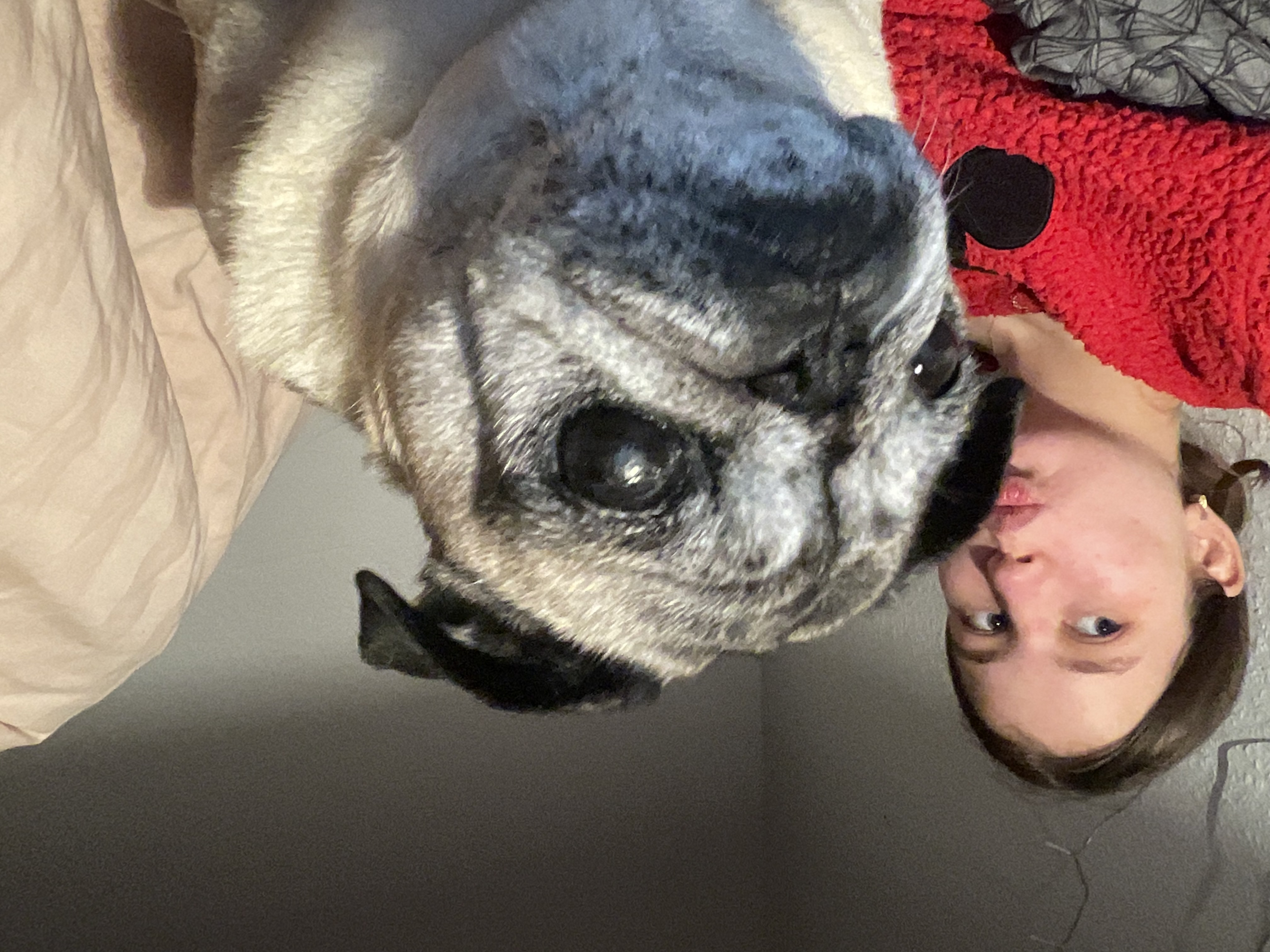 image-11