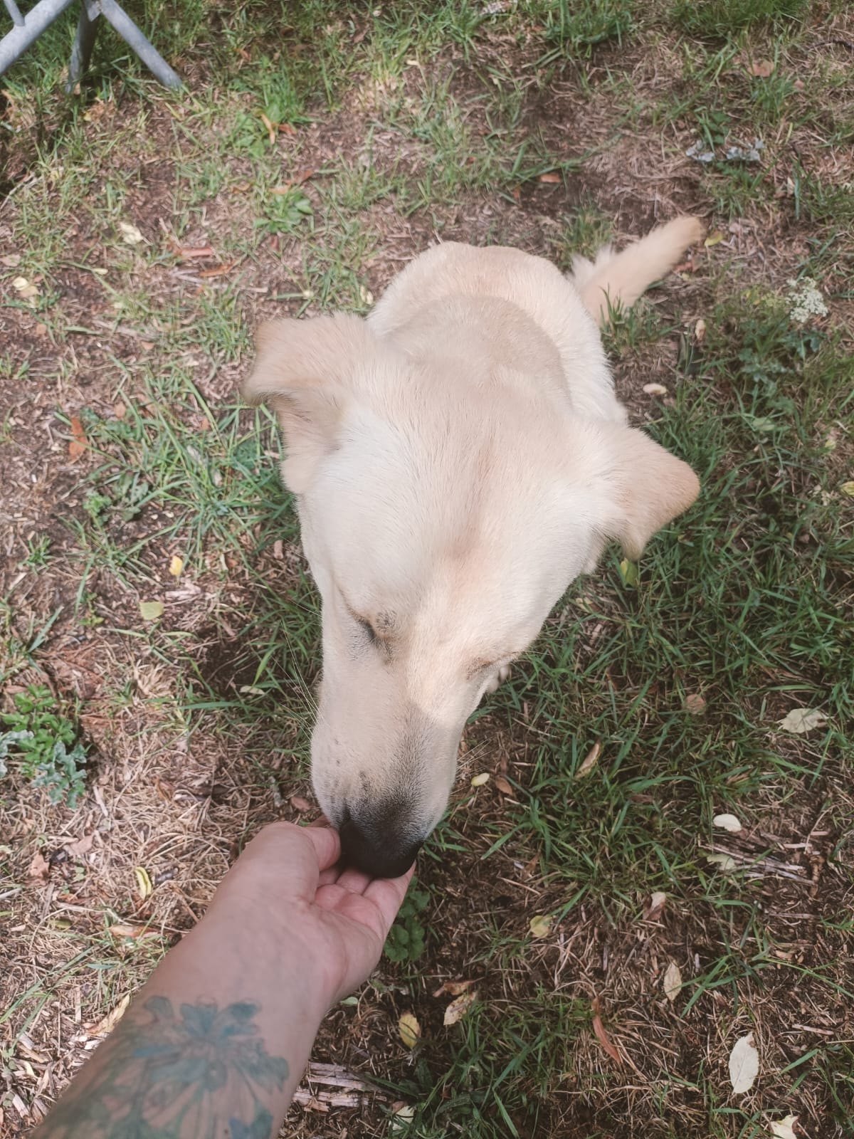 image-5