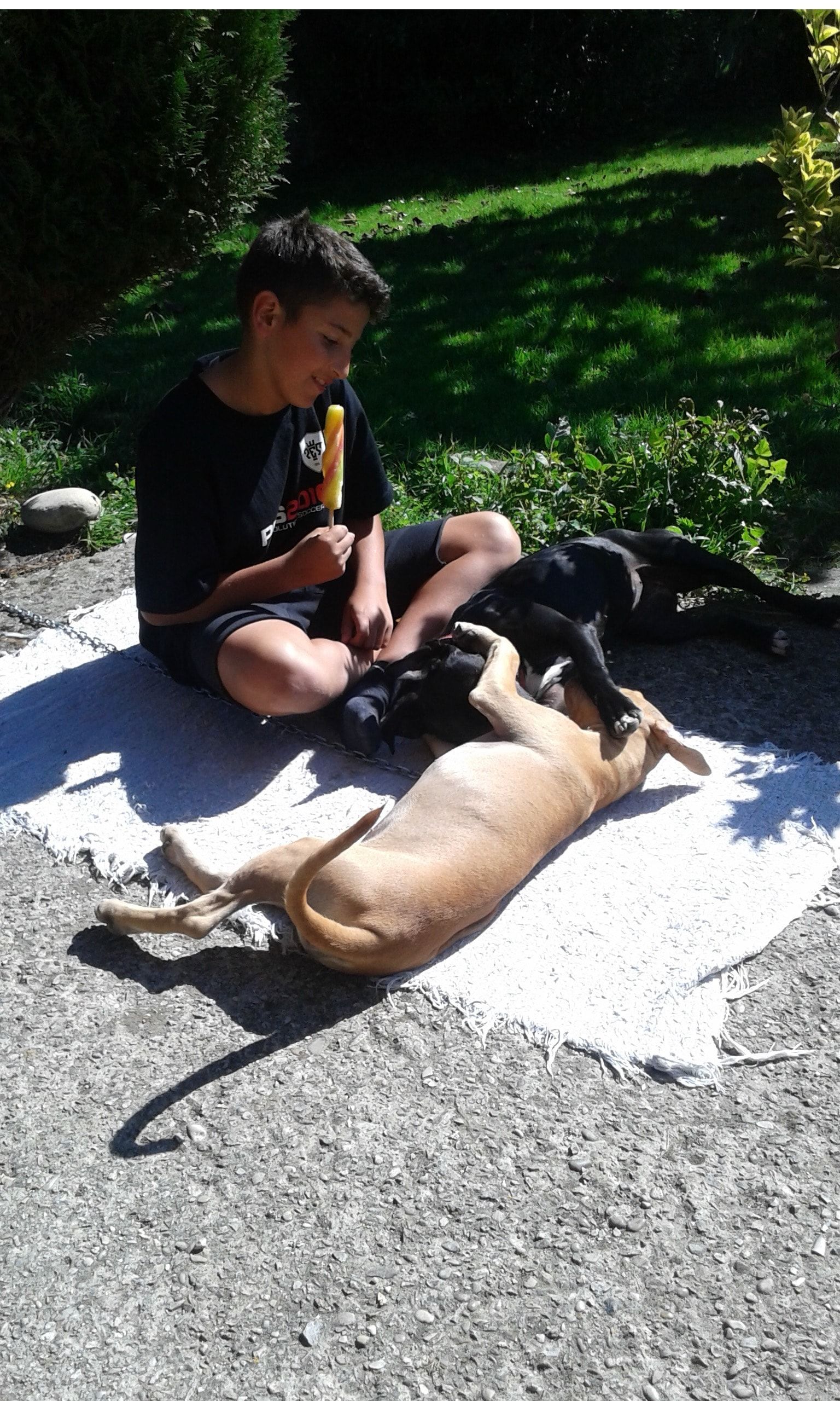 image-7