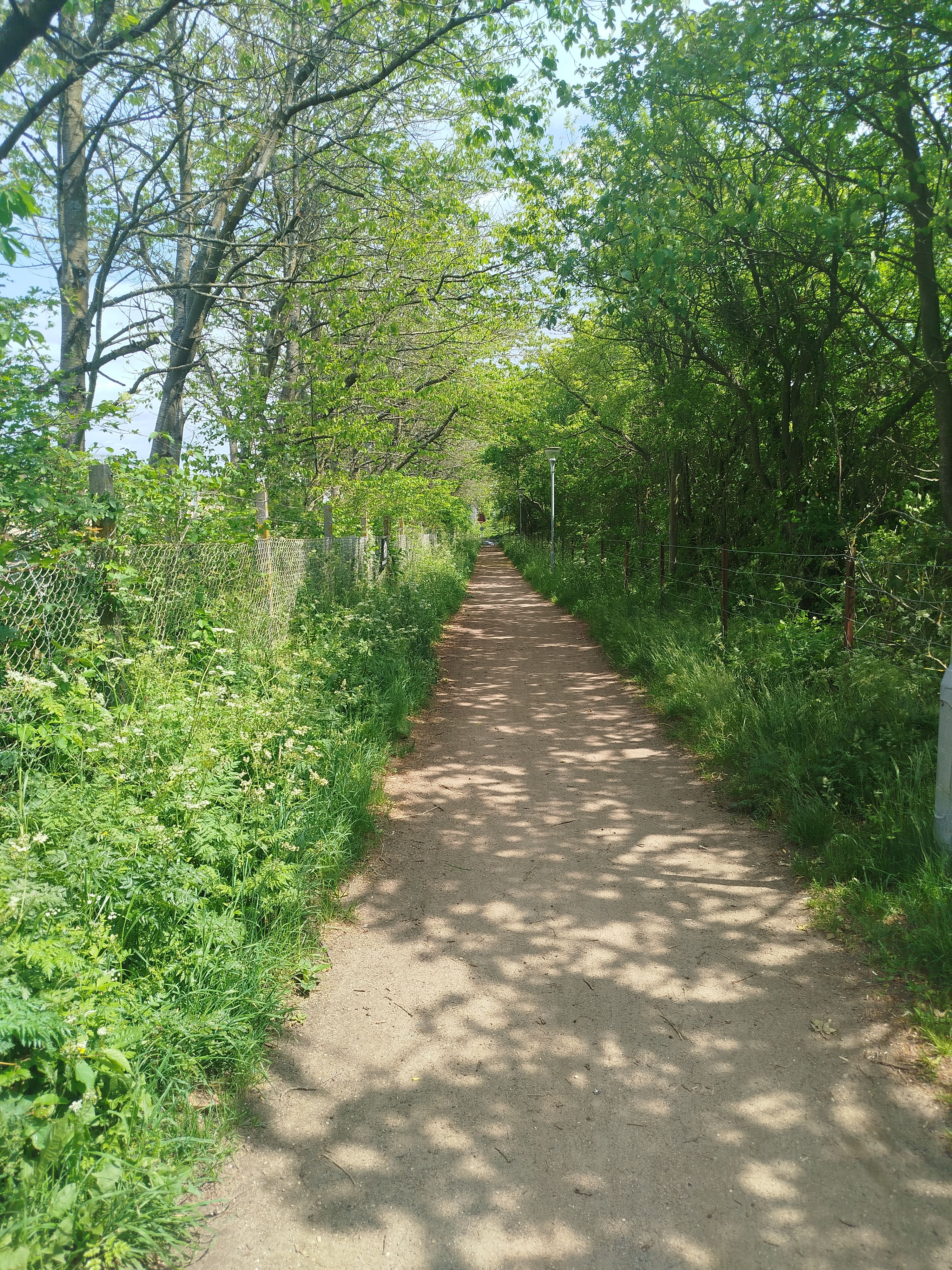 image-19