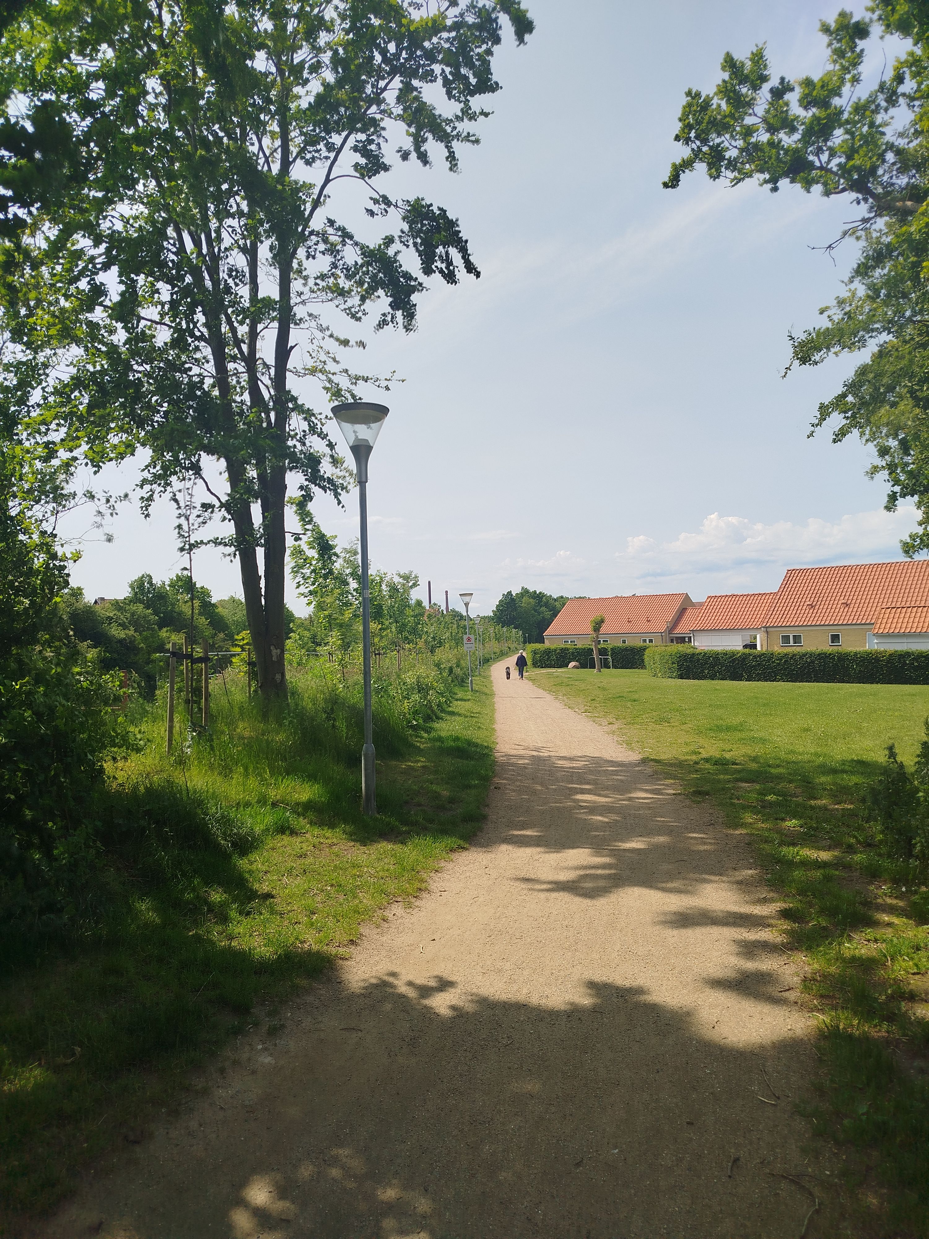 image-21
