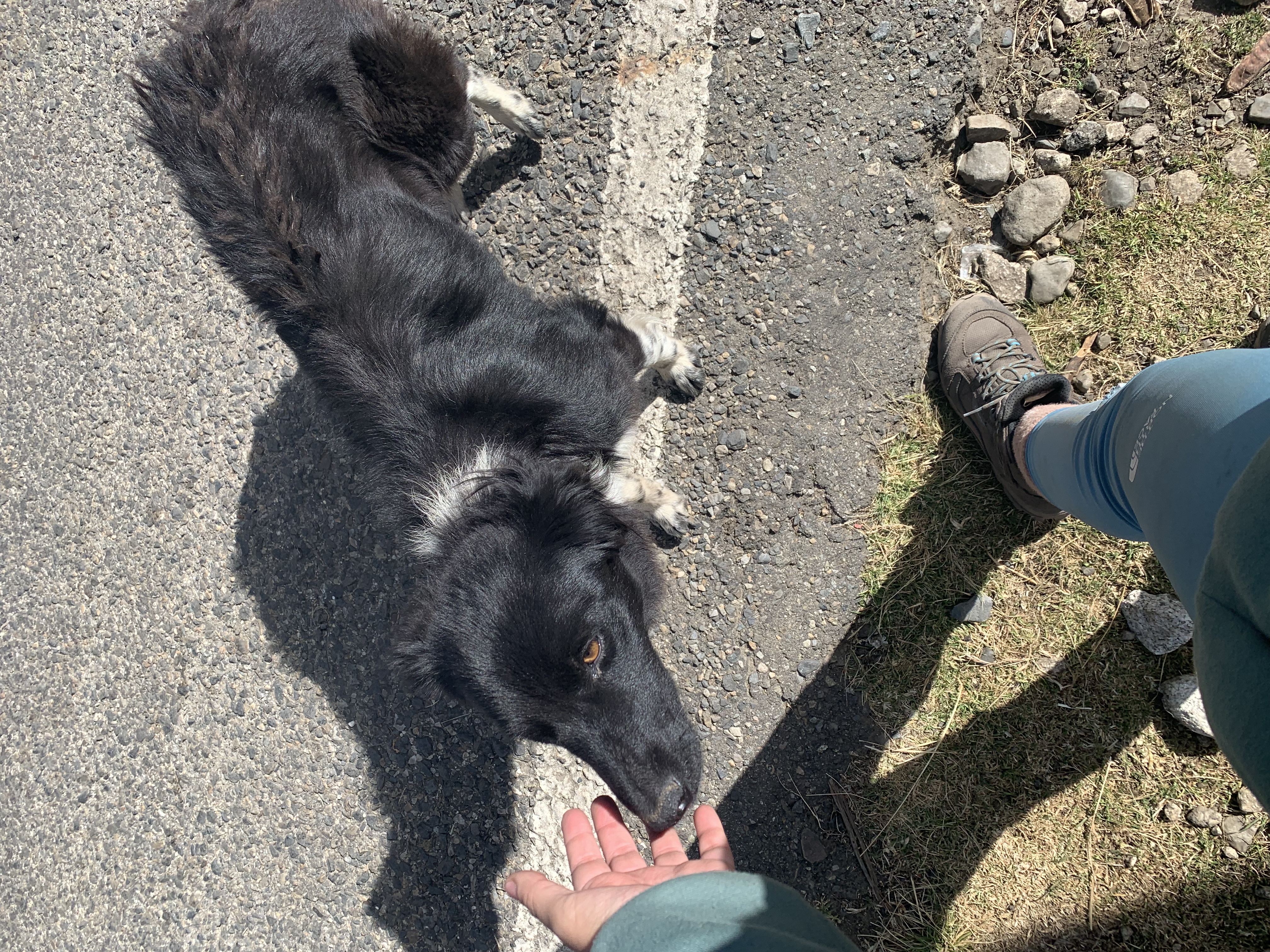 image-9