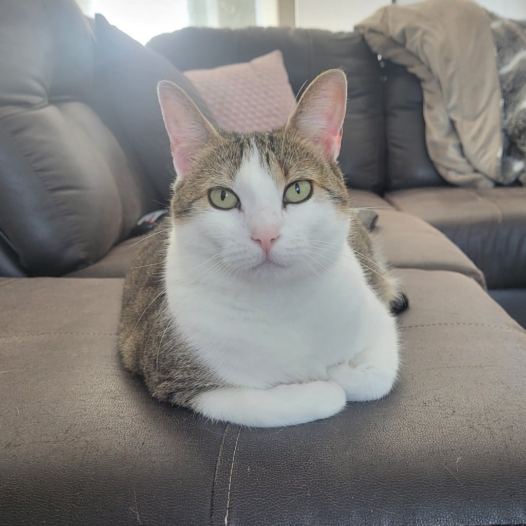 Kiara