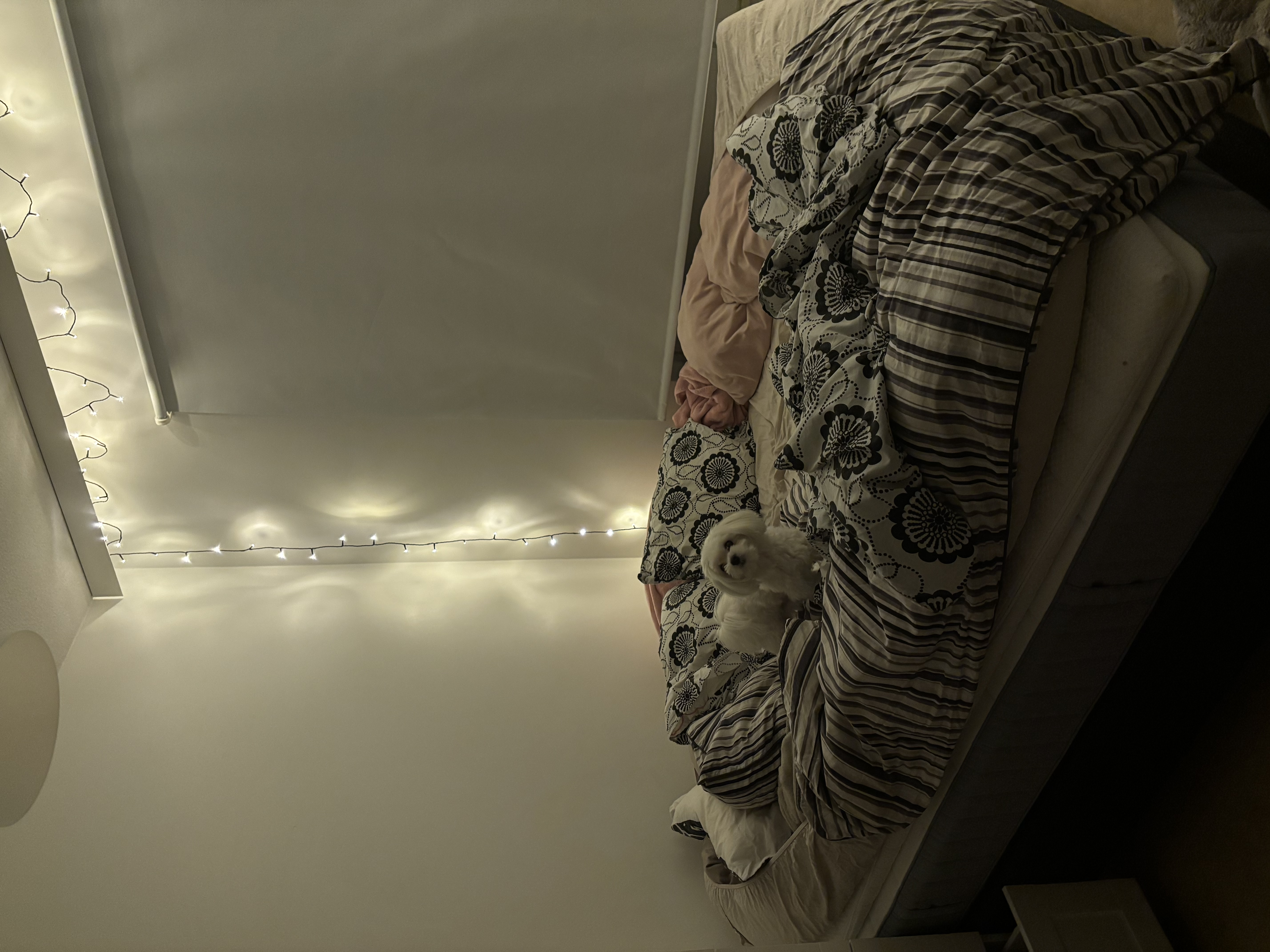 image-10