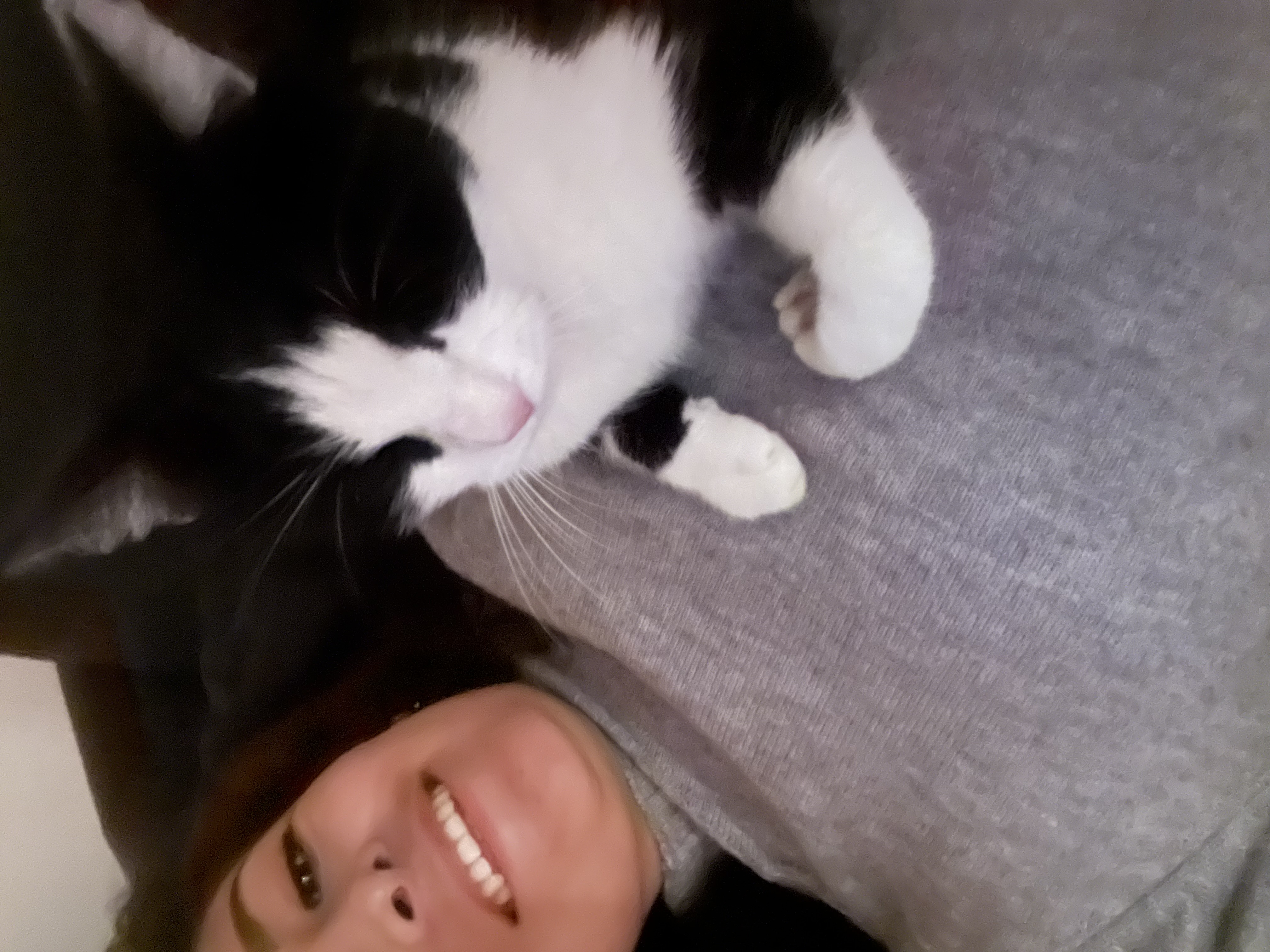 image-4