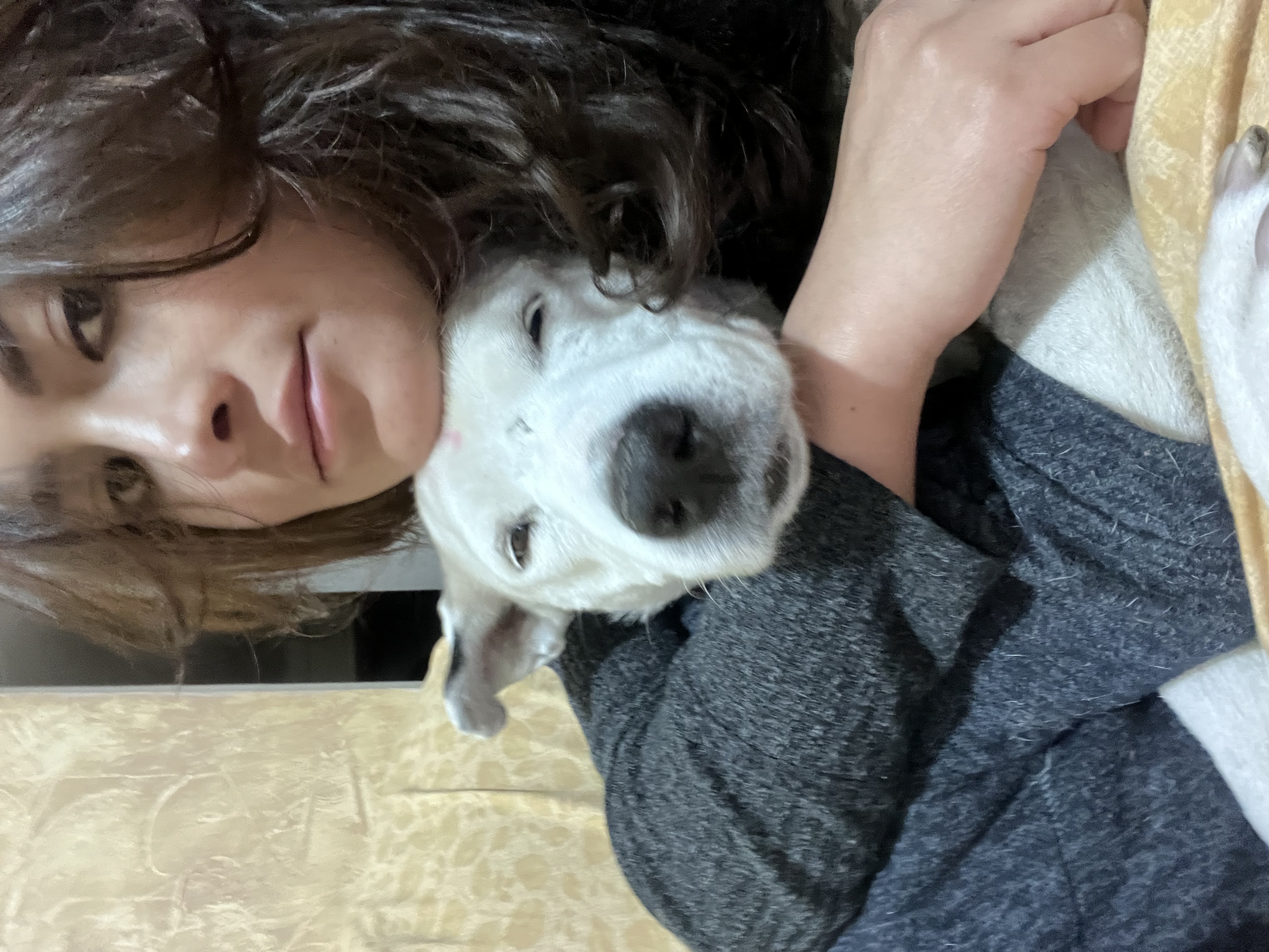 image-10