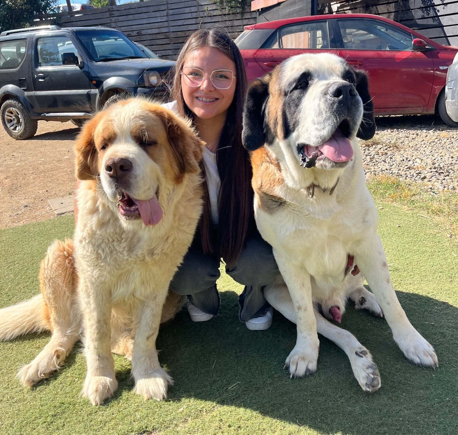 image-0