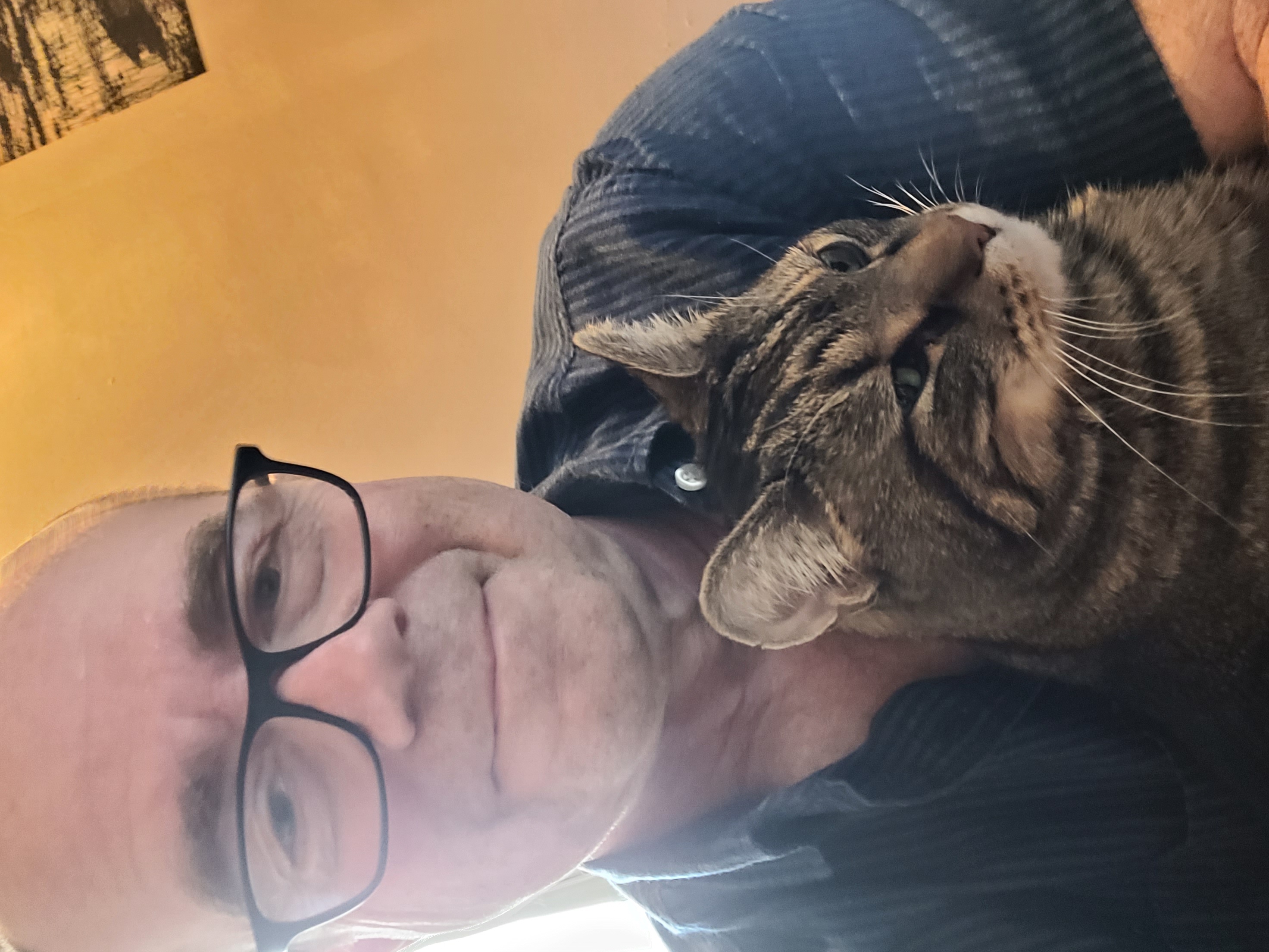 image-7