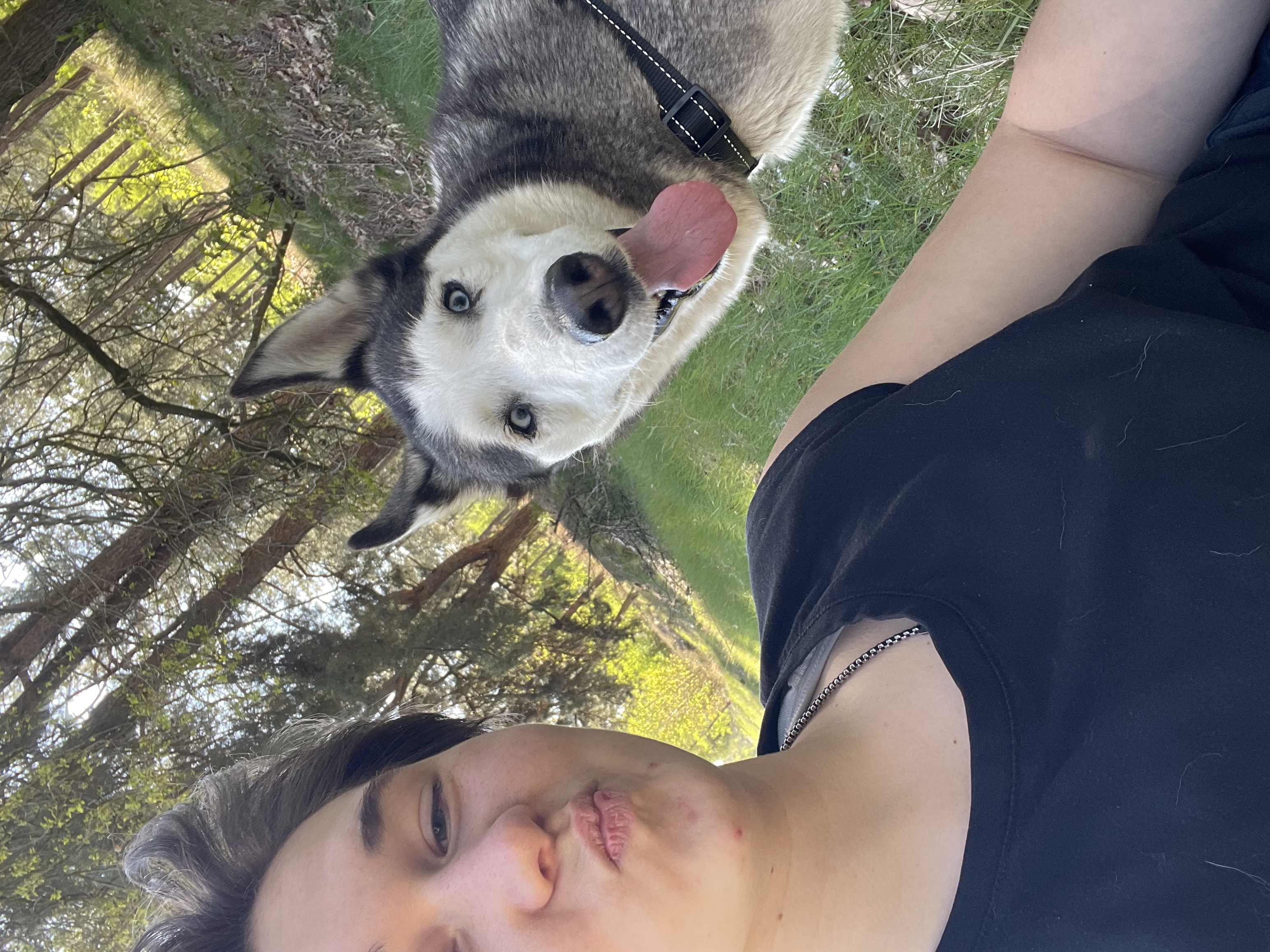 image-8