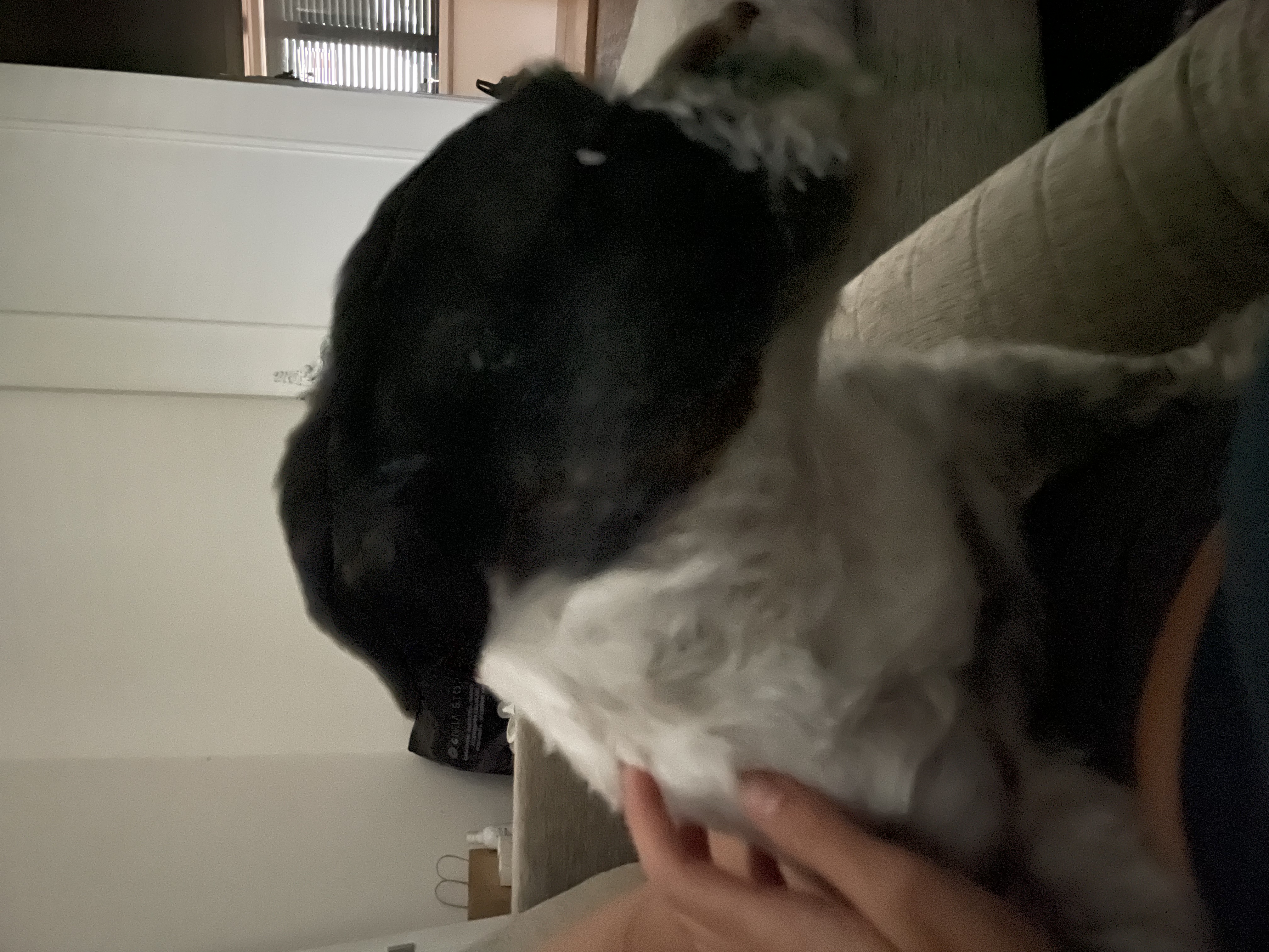 image-7