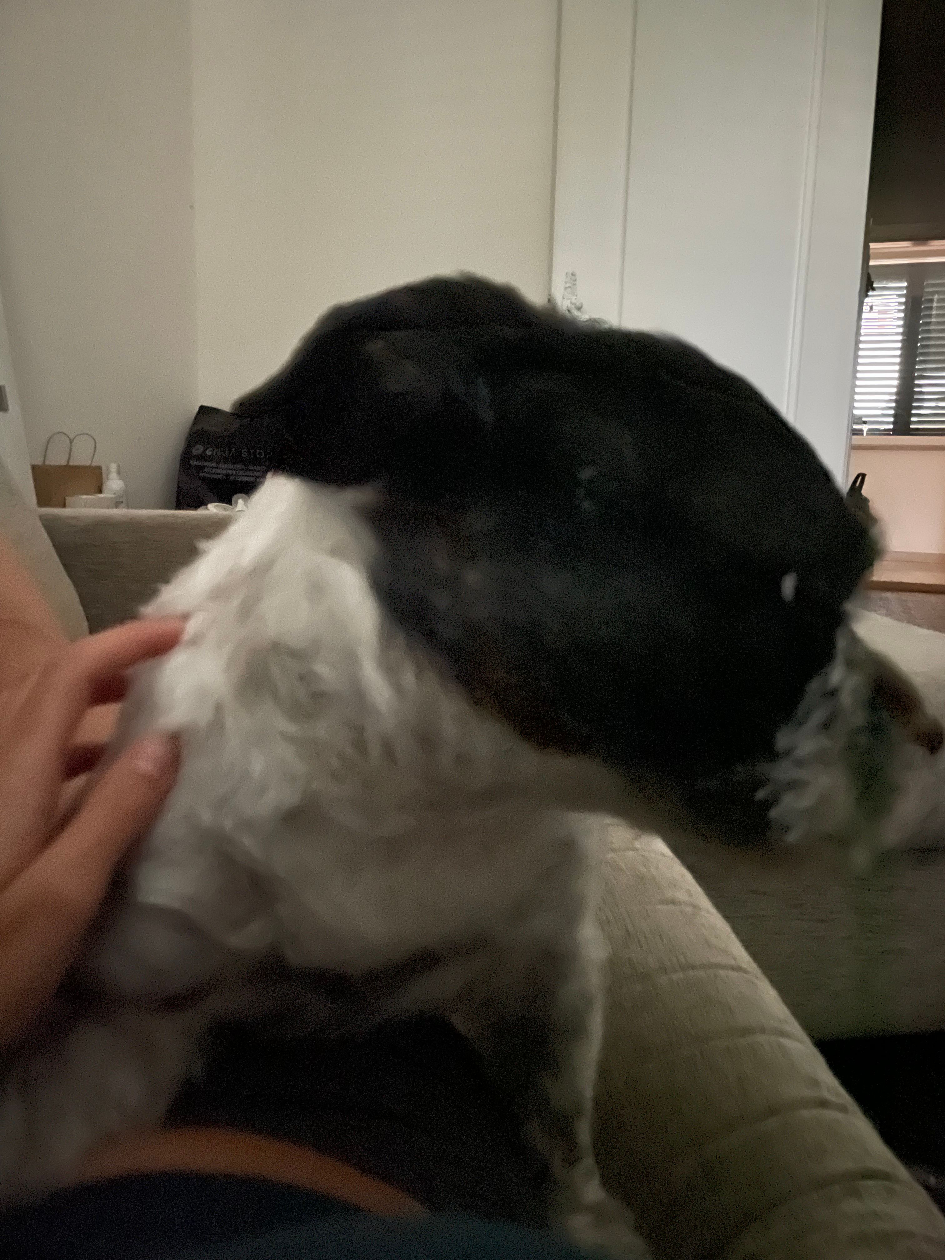 image-7