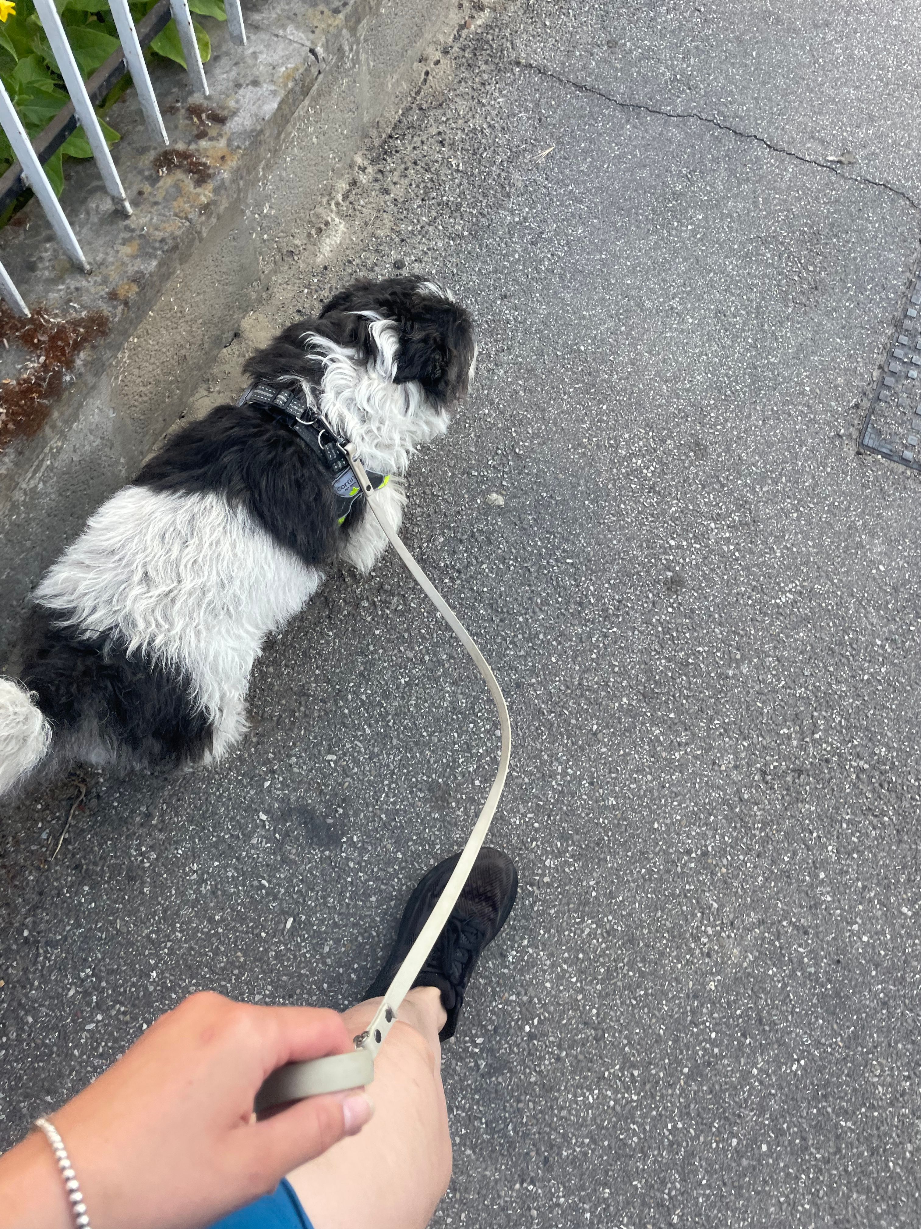 image-15