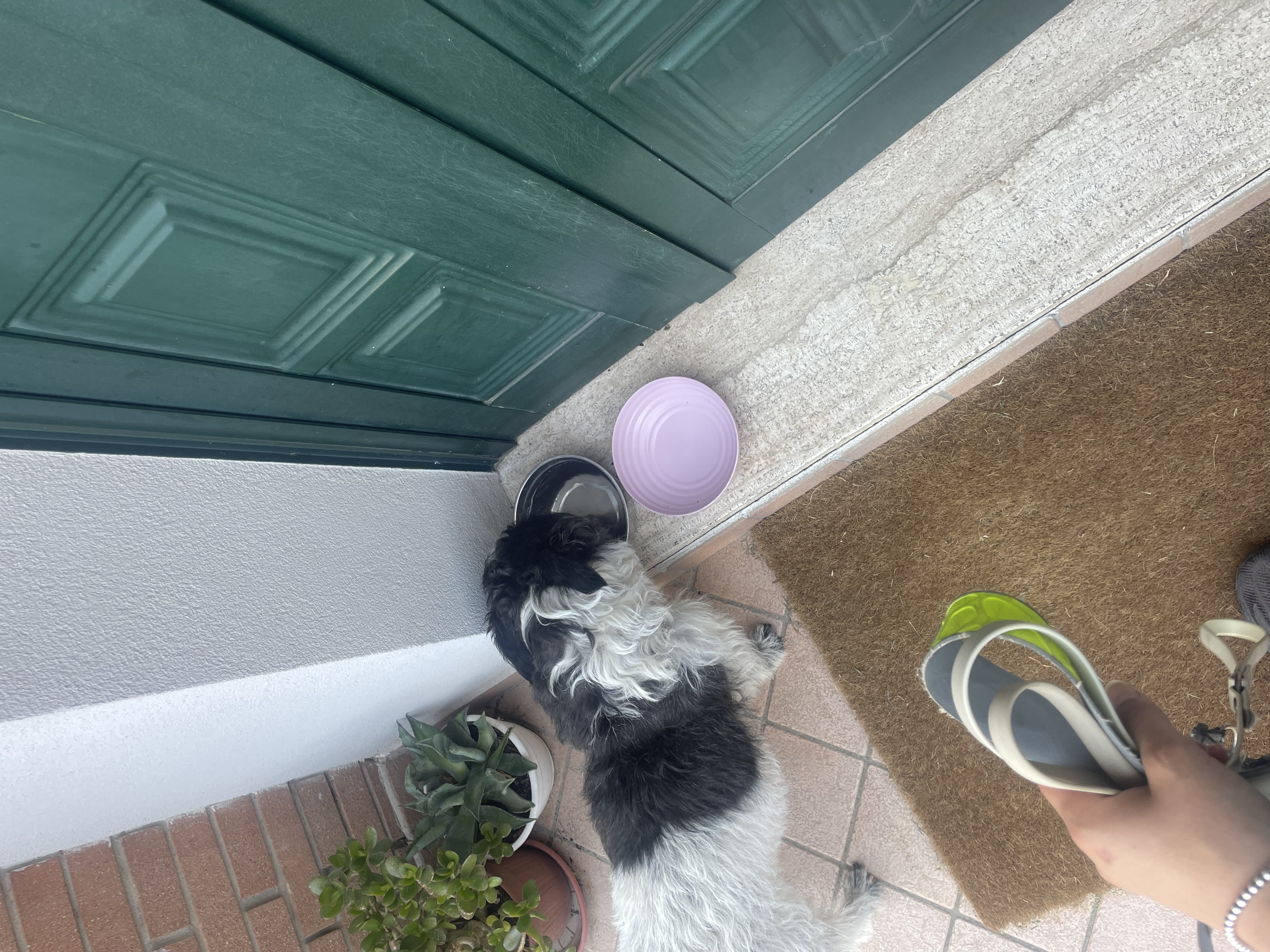 image-18