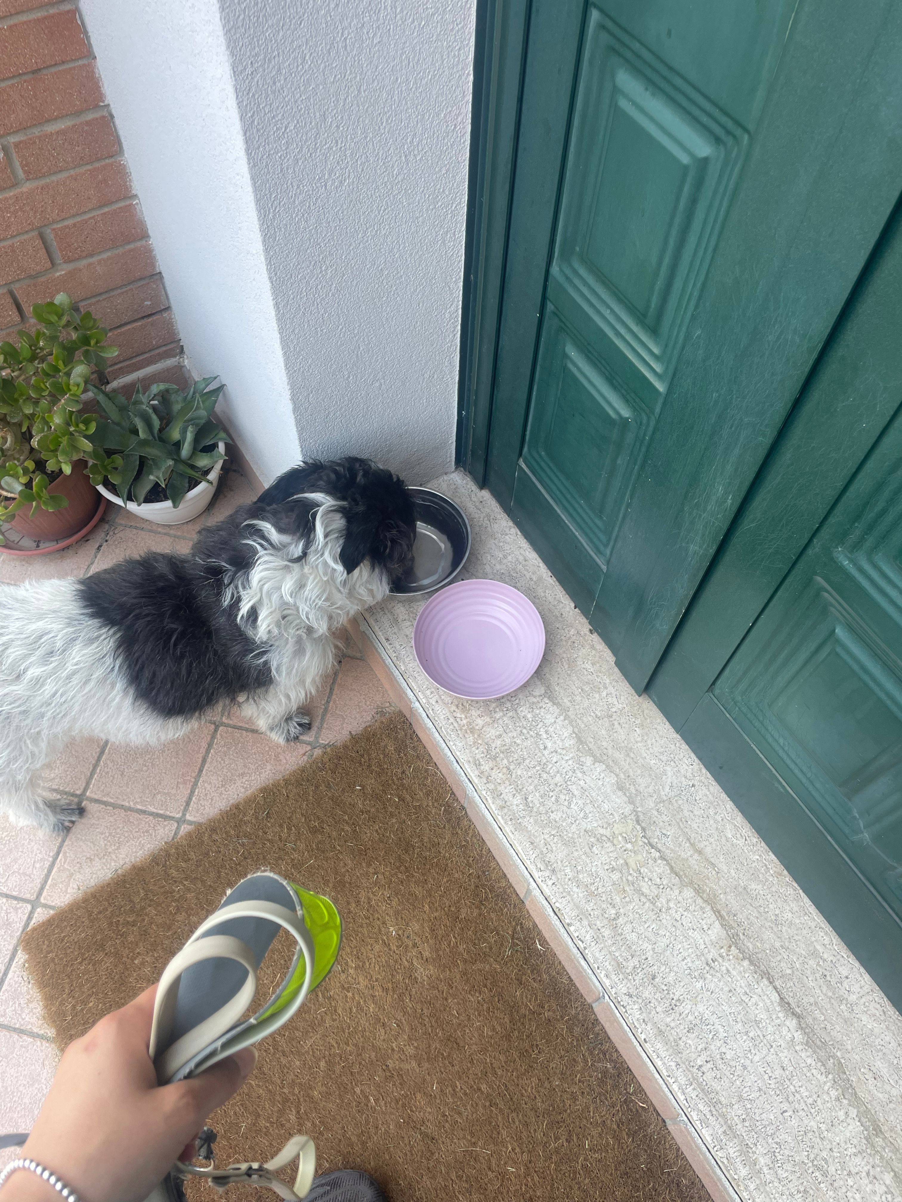 image-18