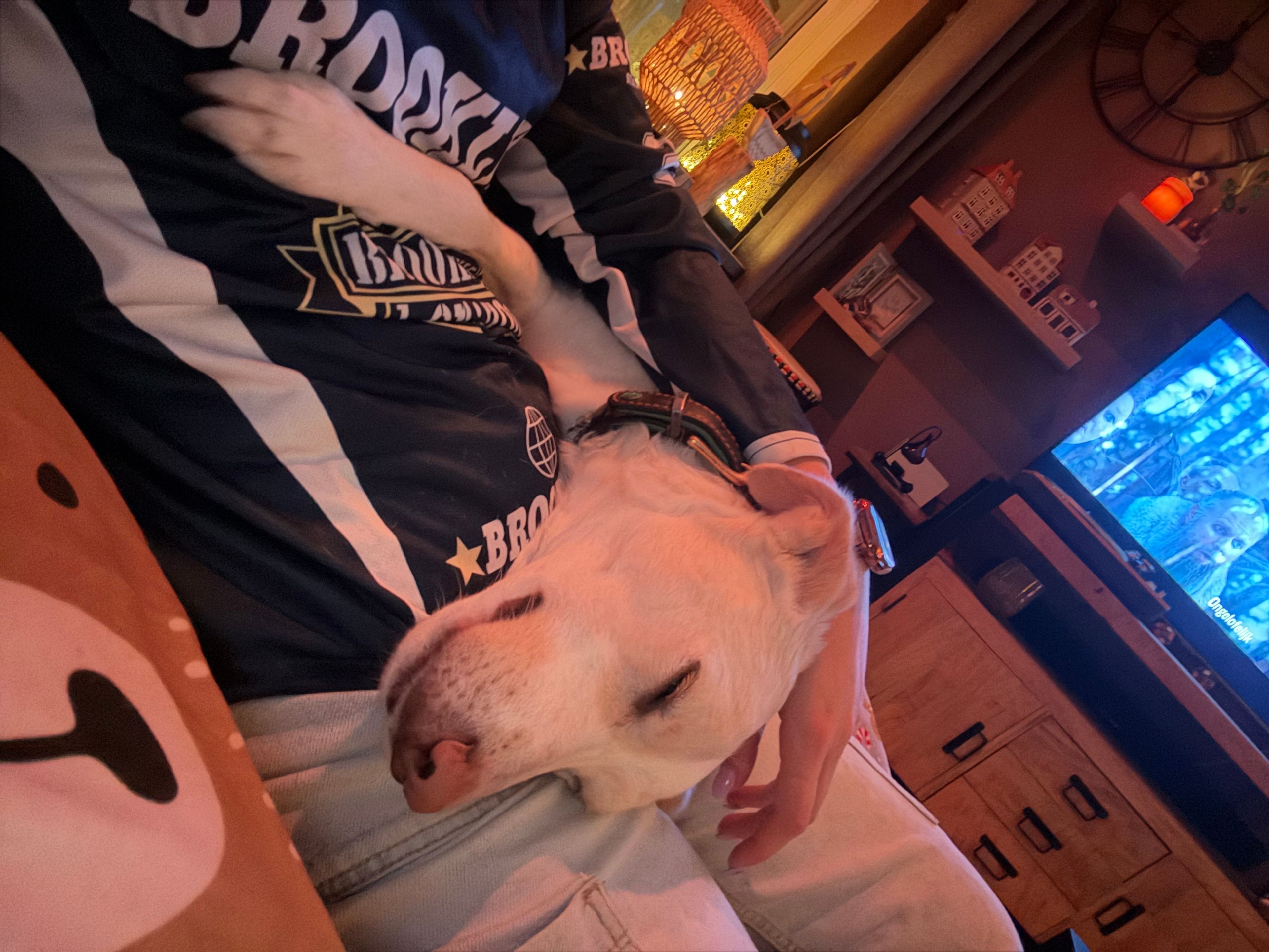 image-7