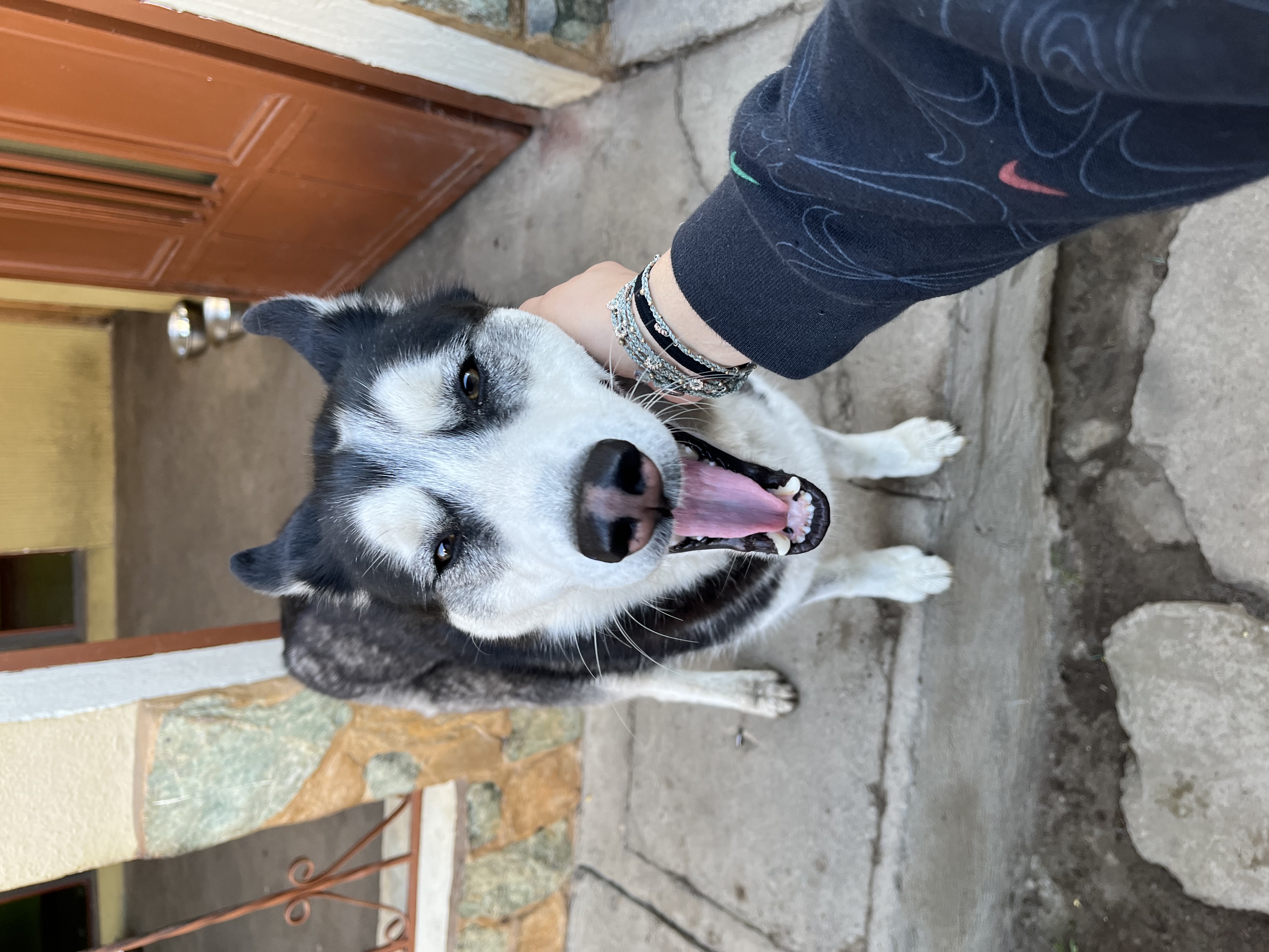 image-11