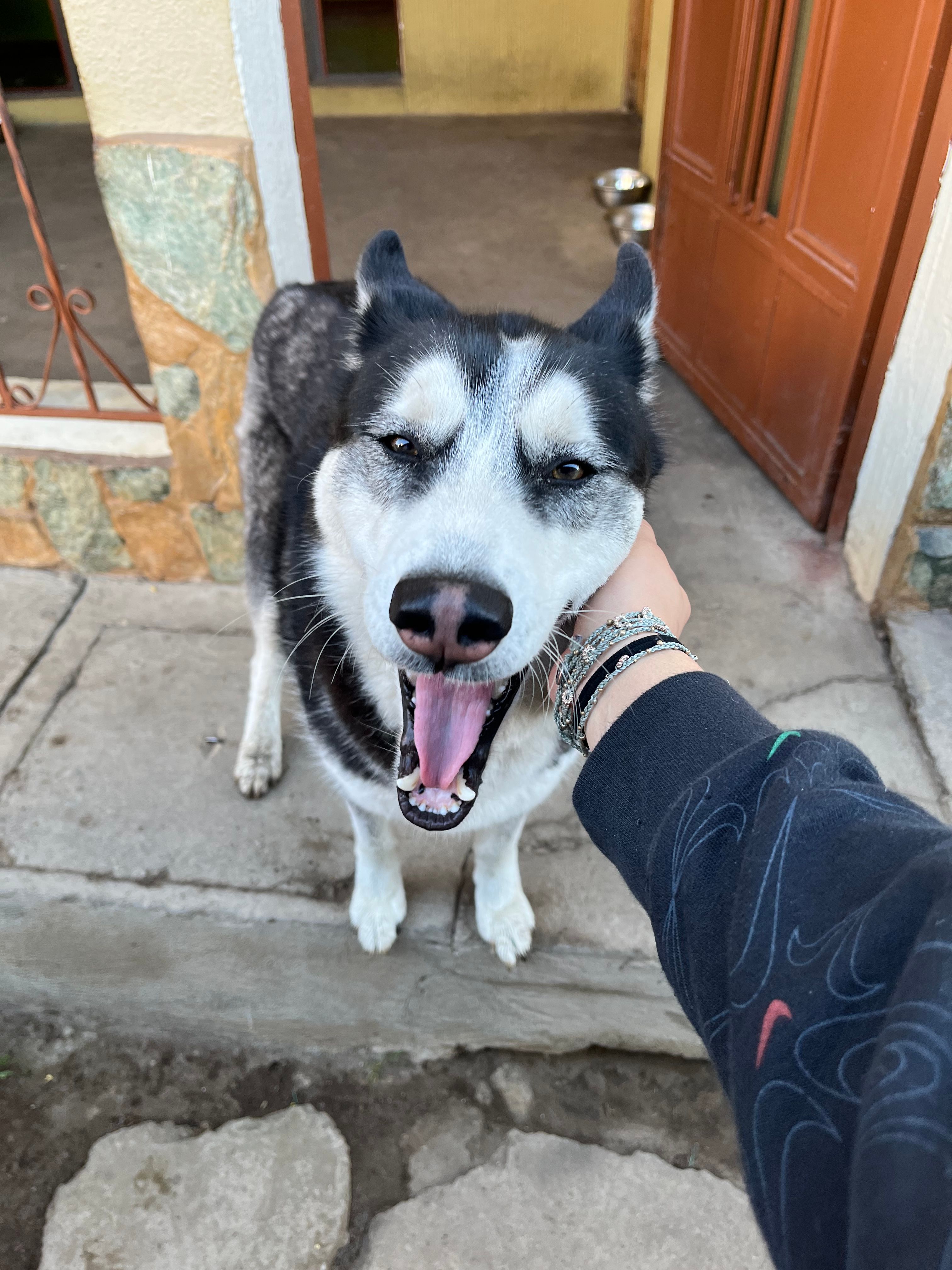 image-11