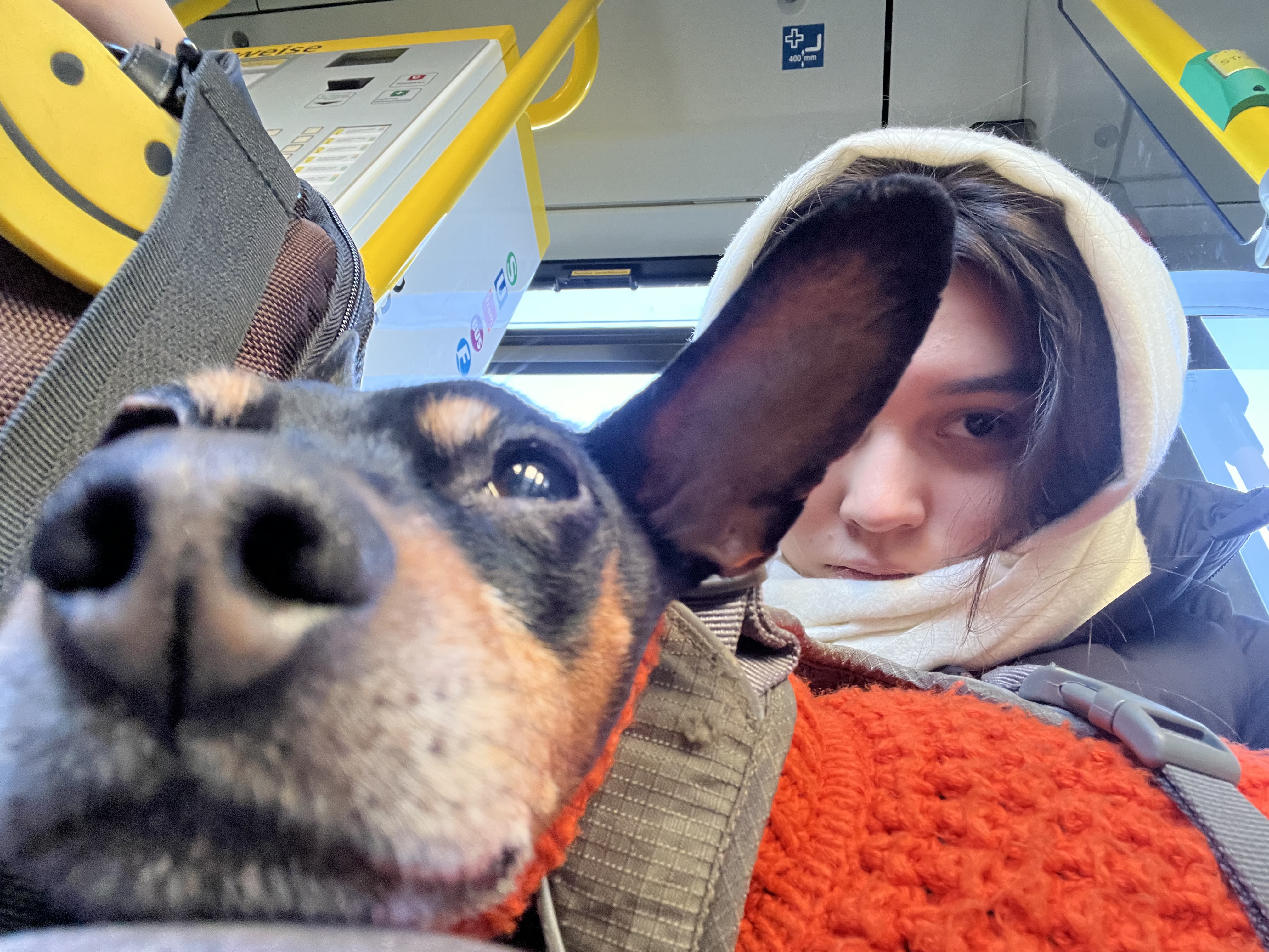 image-8