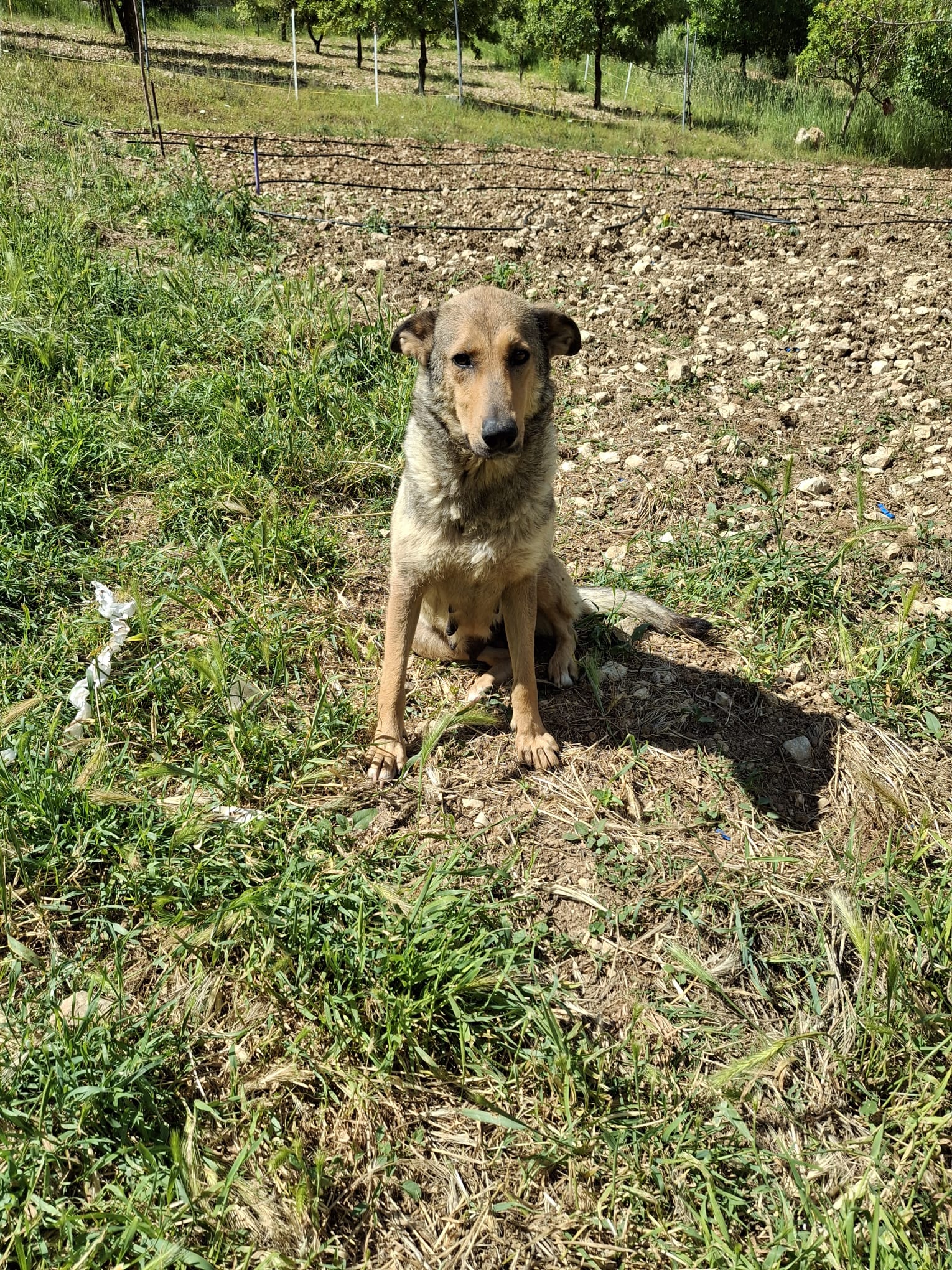 image-5