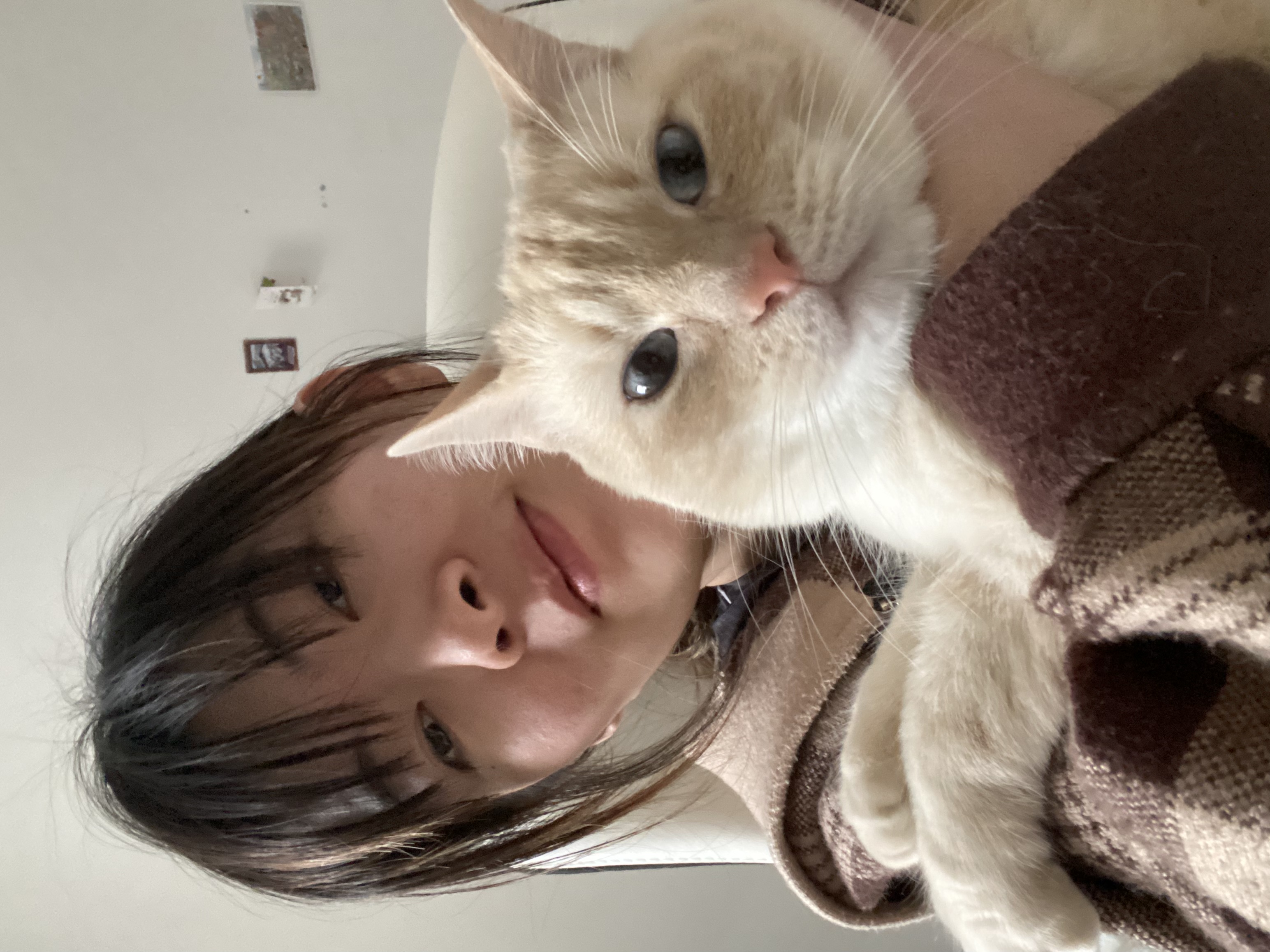 image-14