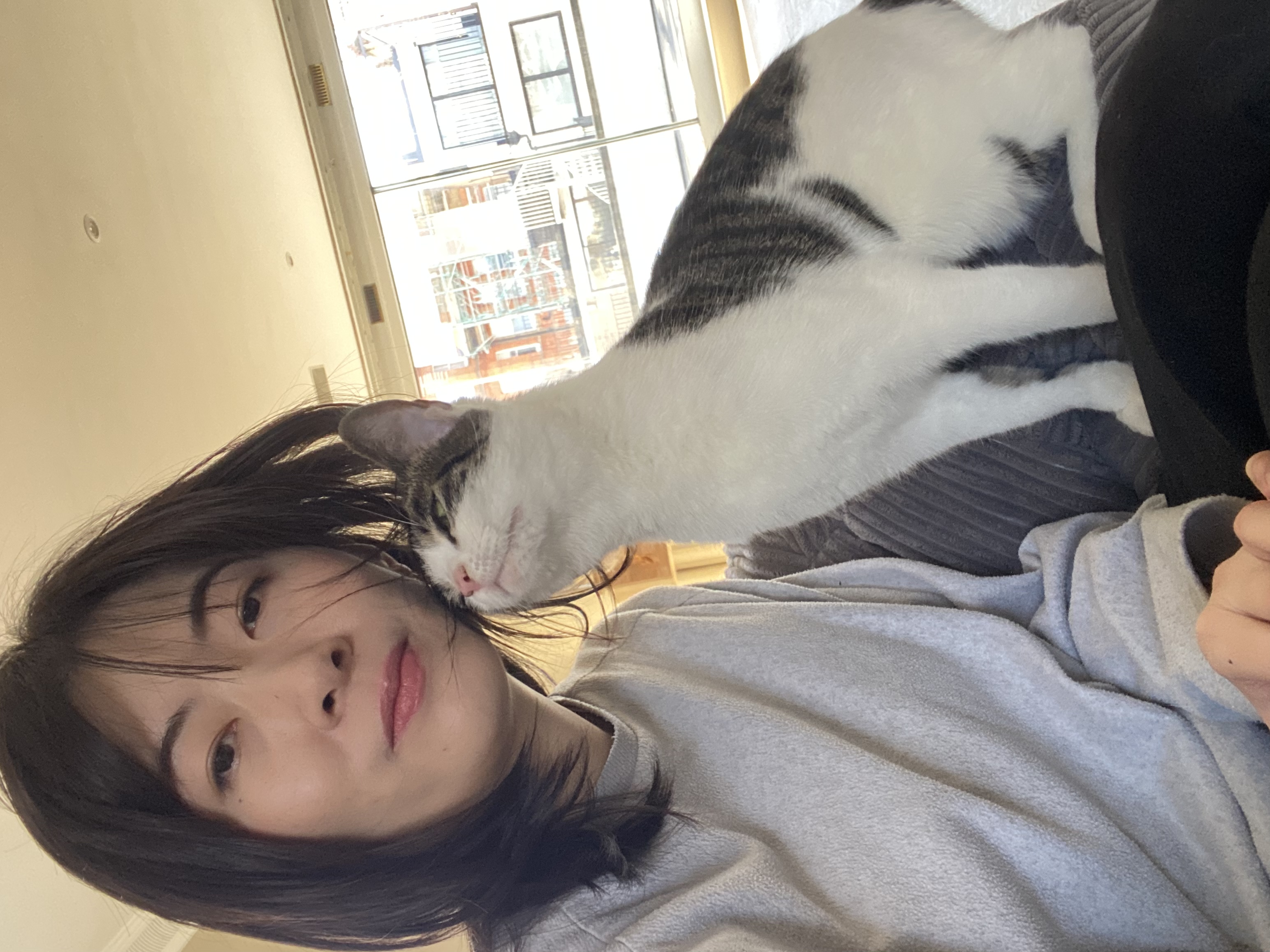 image-16