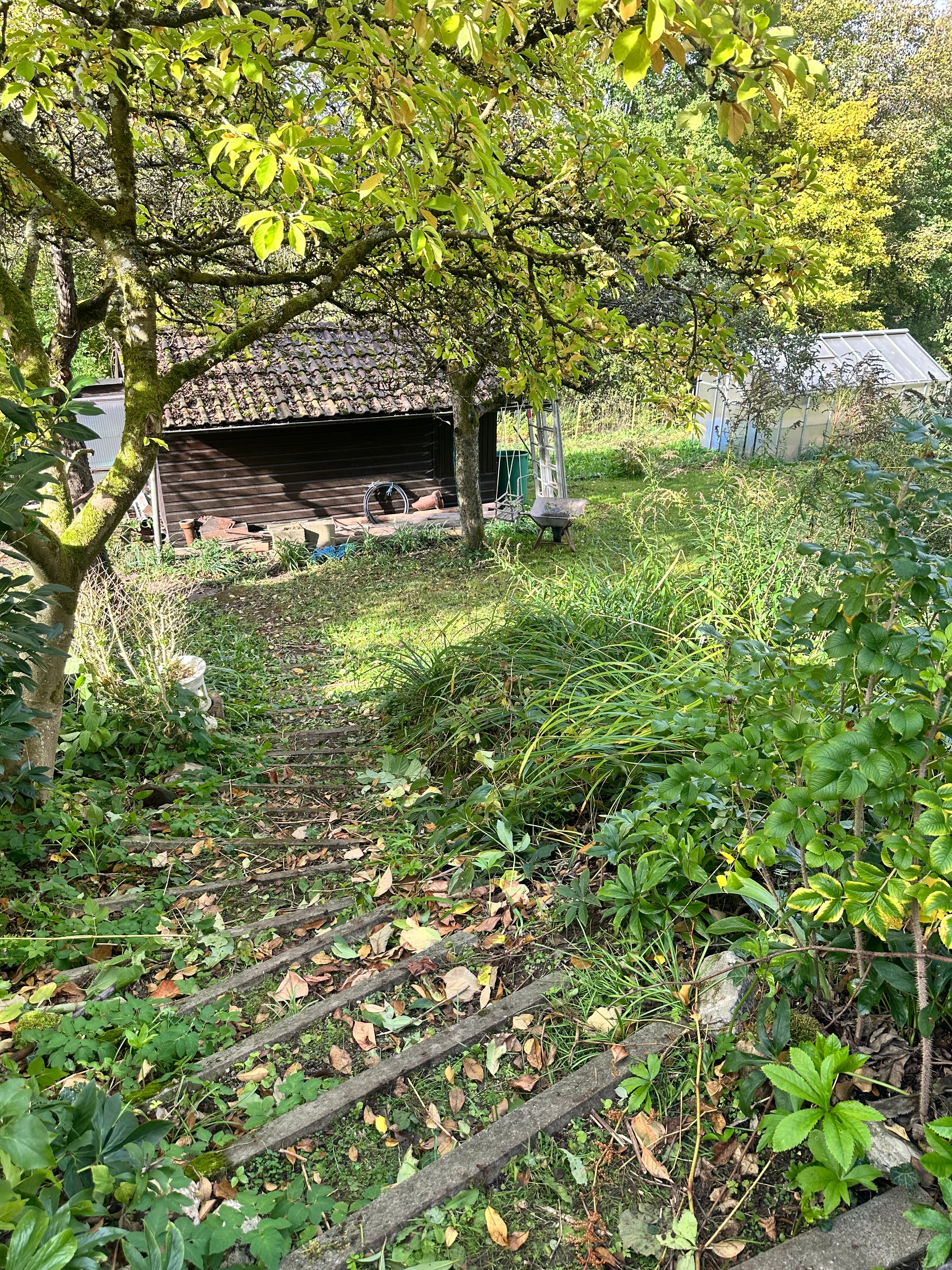 image-21
