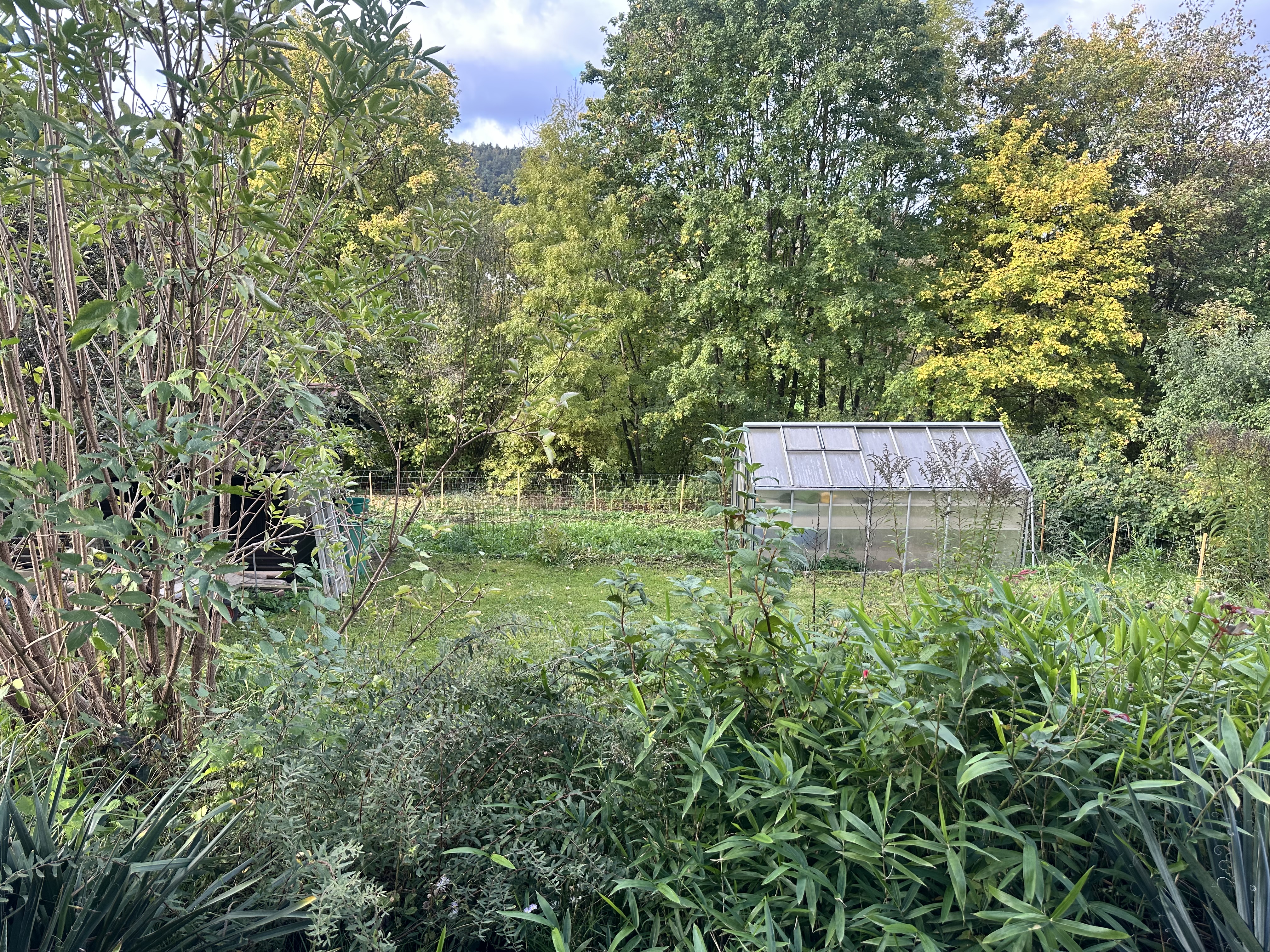 image-25