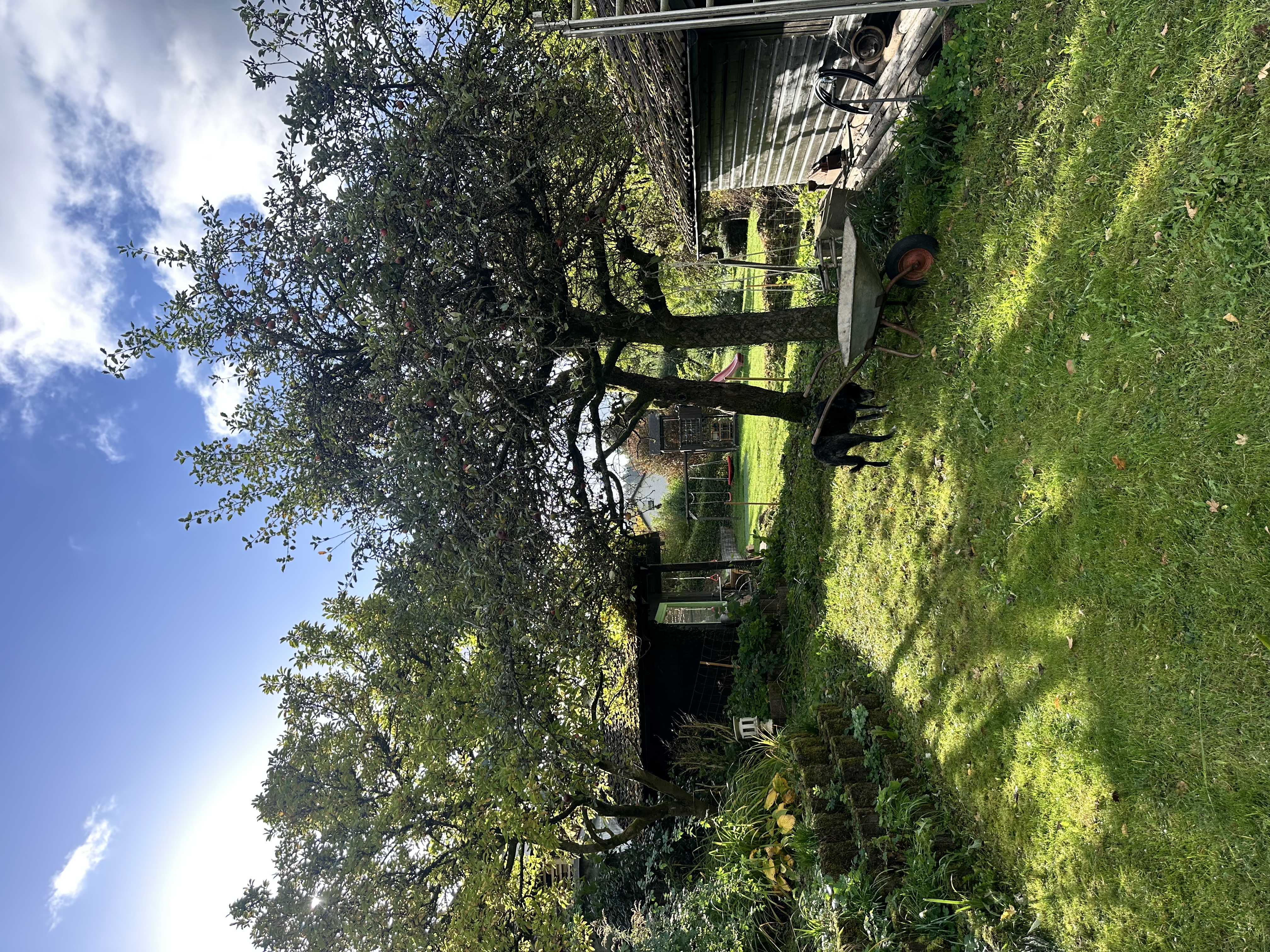 image-23