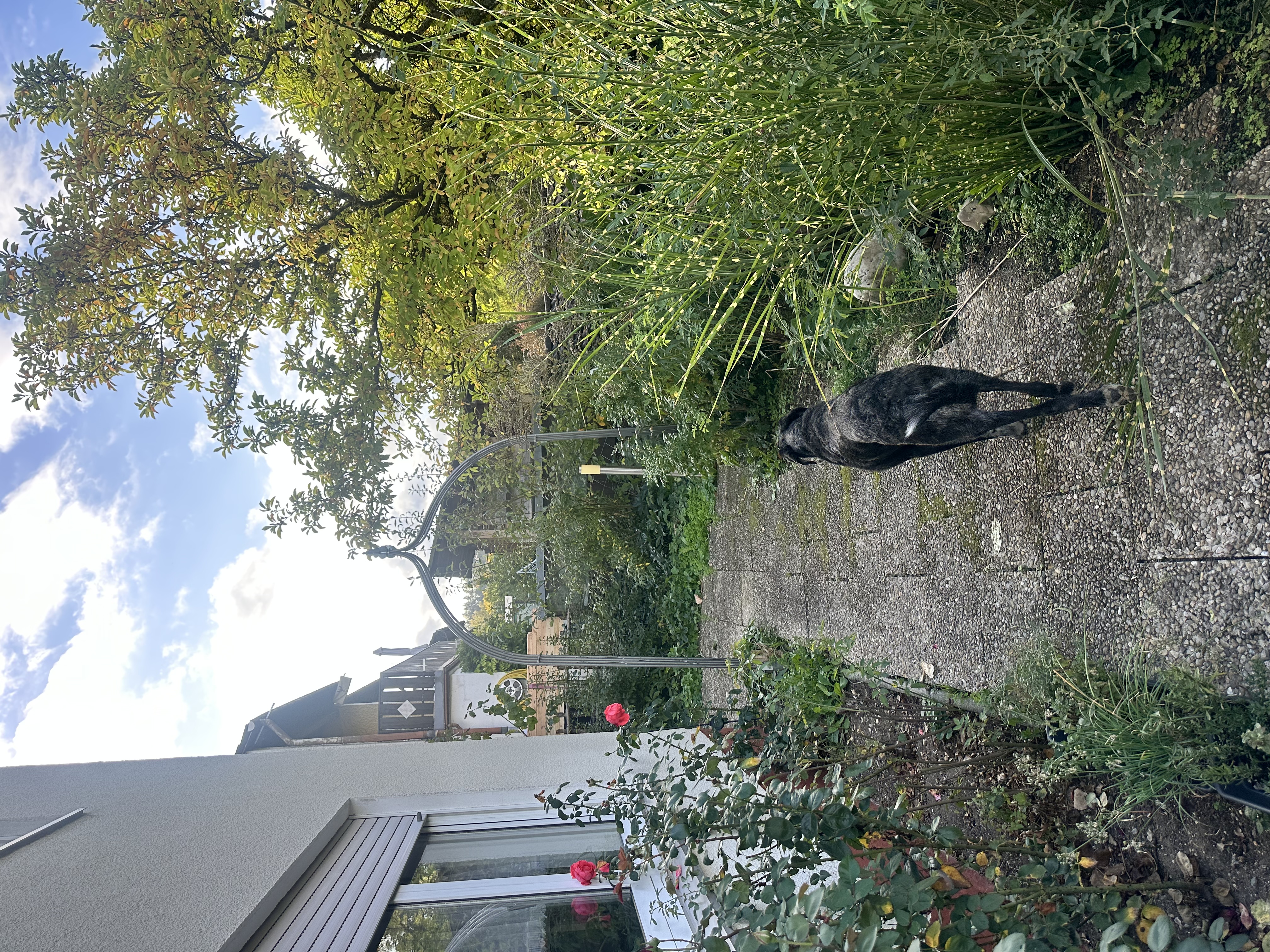 image-20