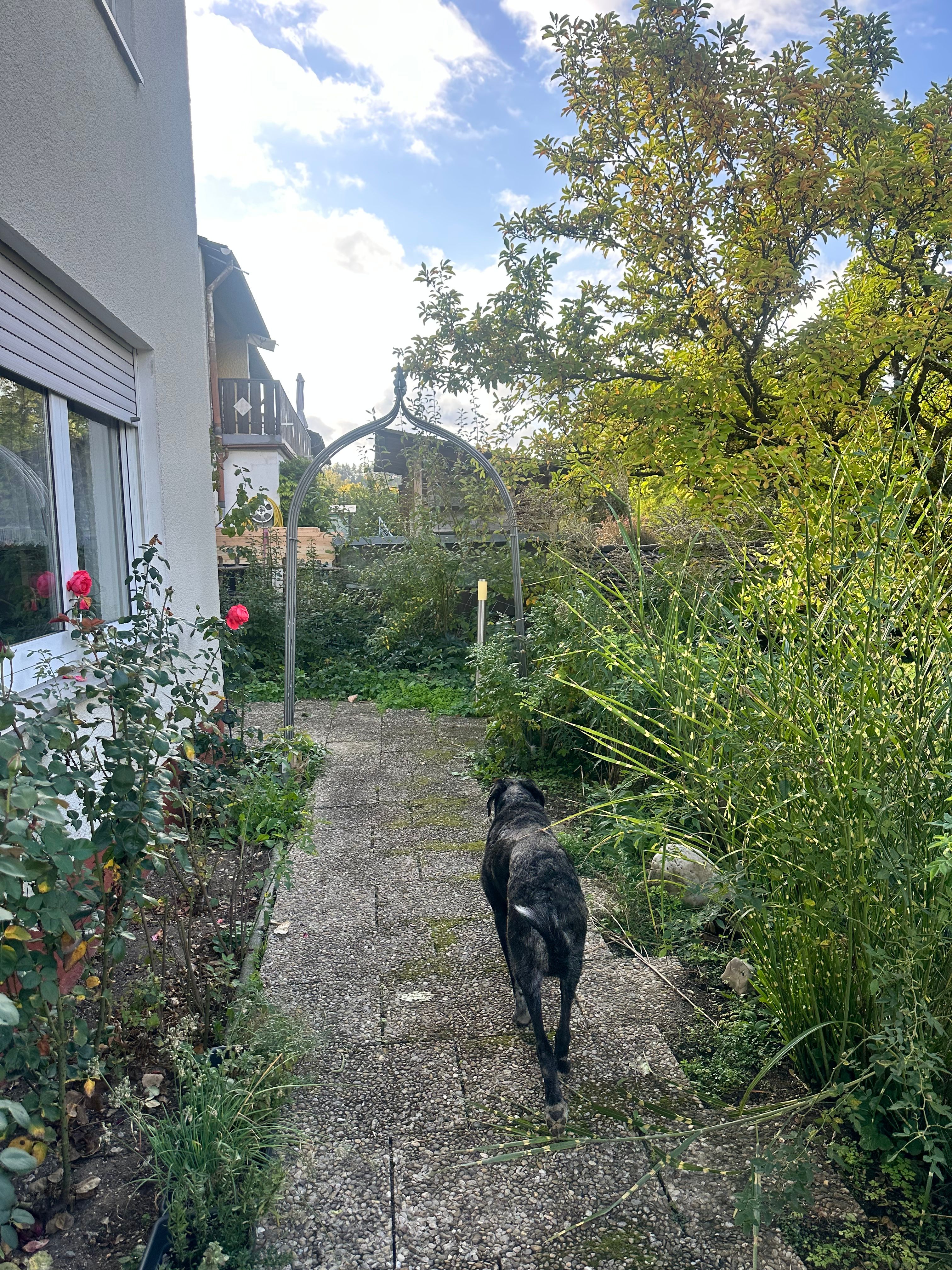 image-20