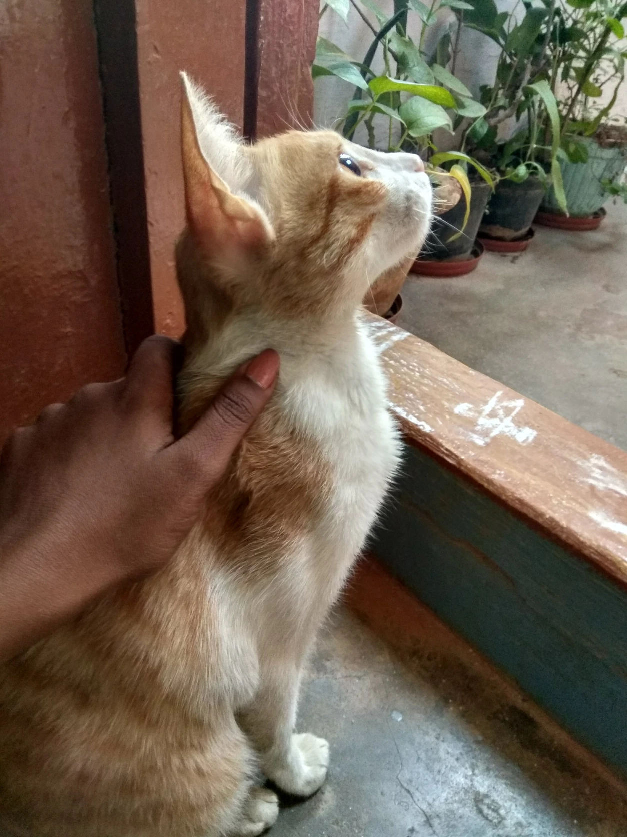 image-8