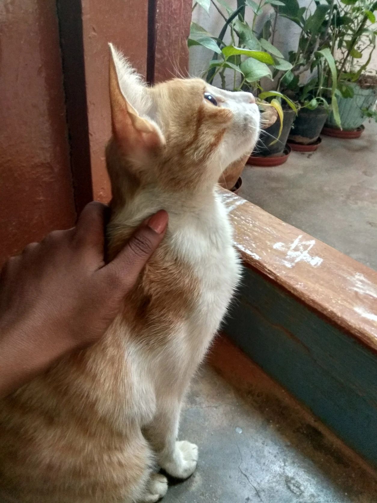 image-8