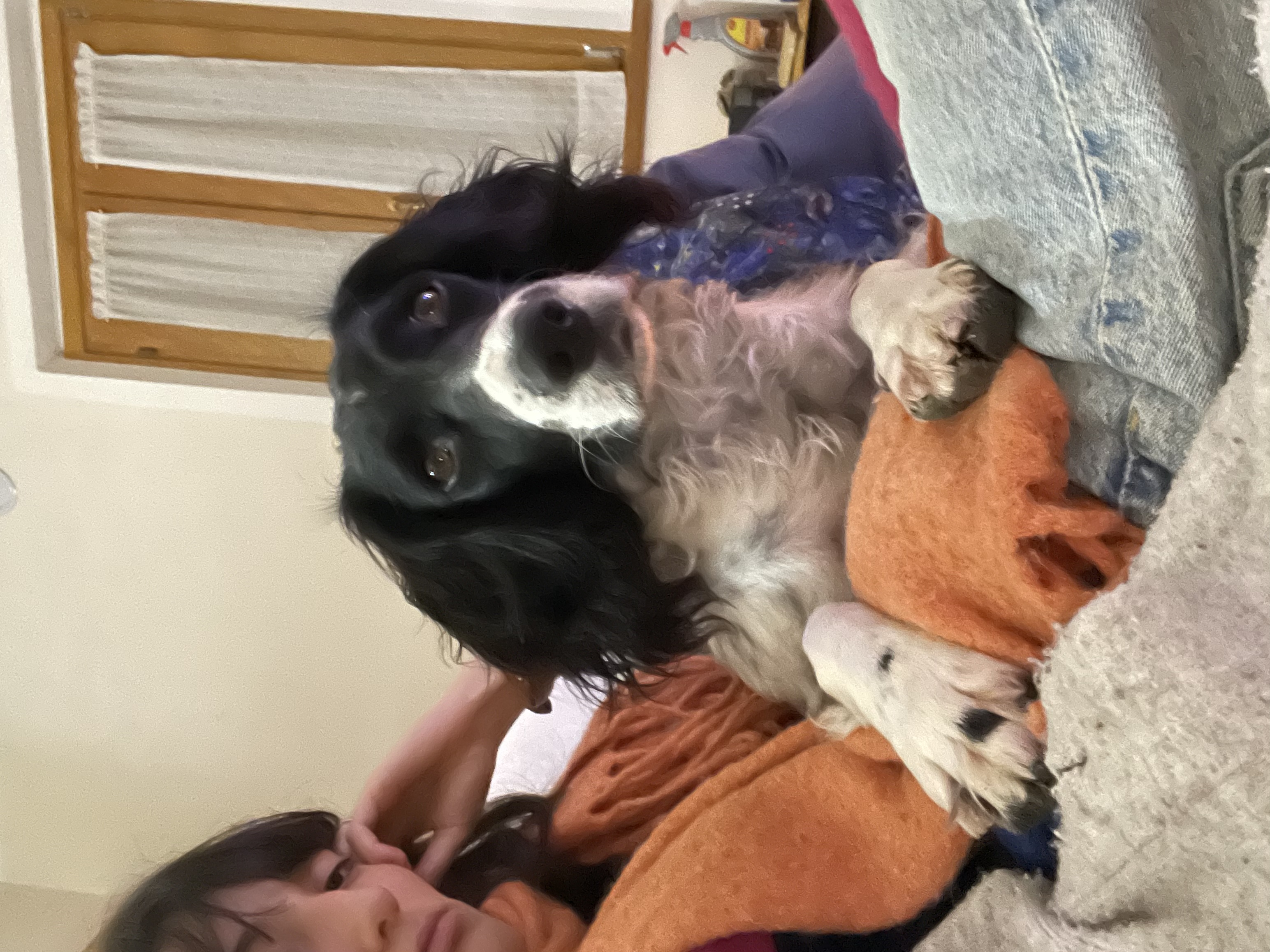 image-5