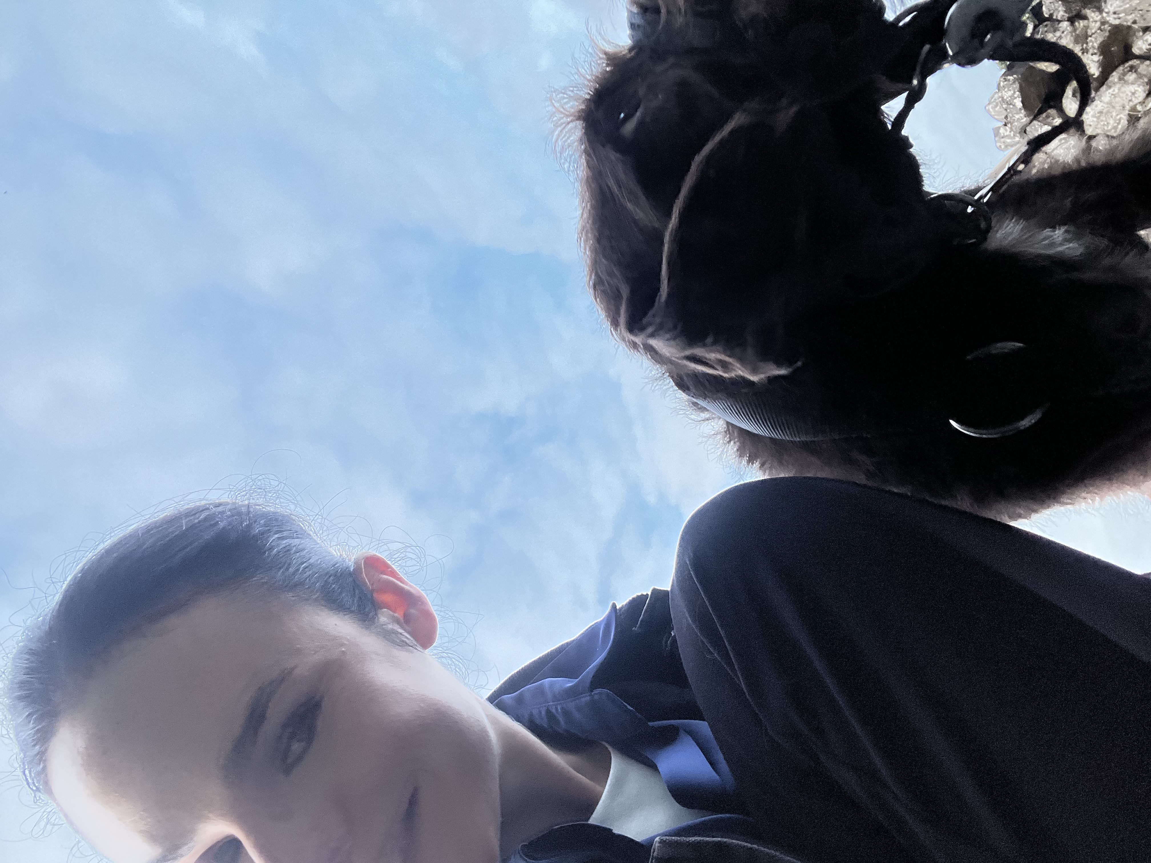 image-0
