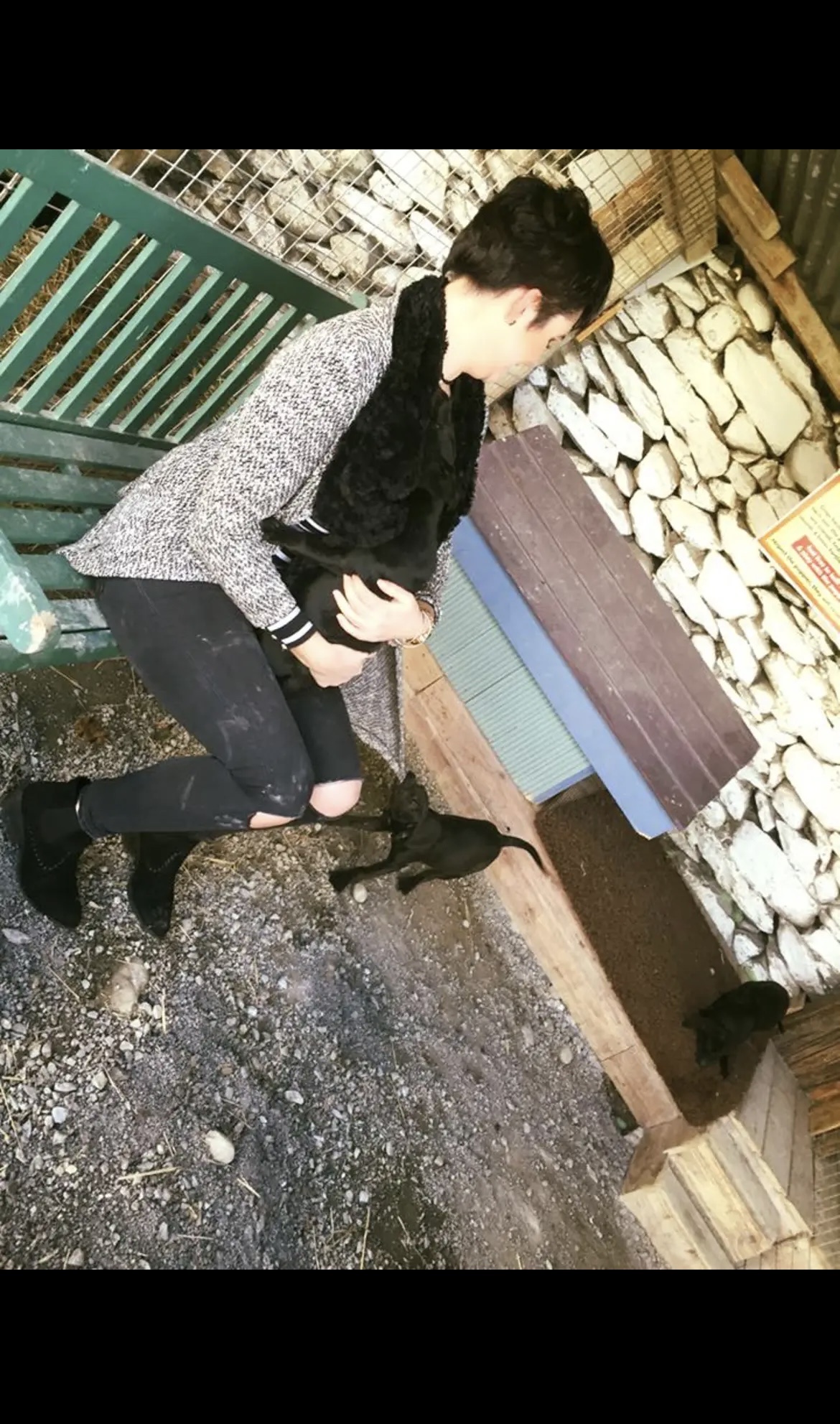 image-13