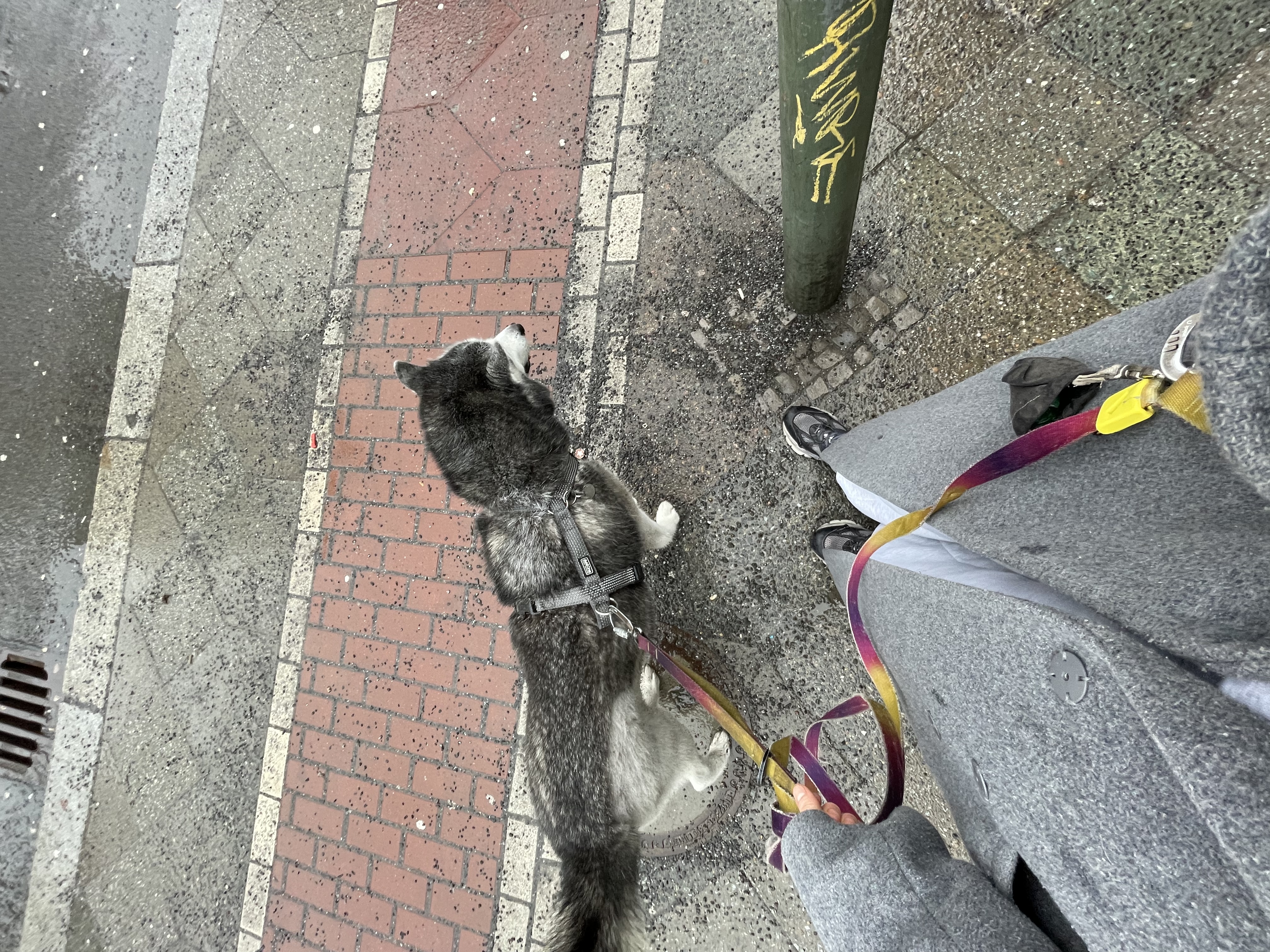 image-4