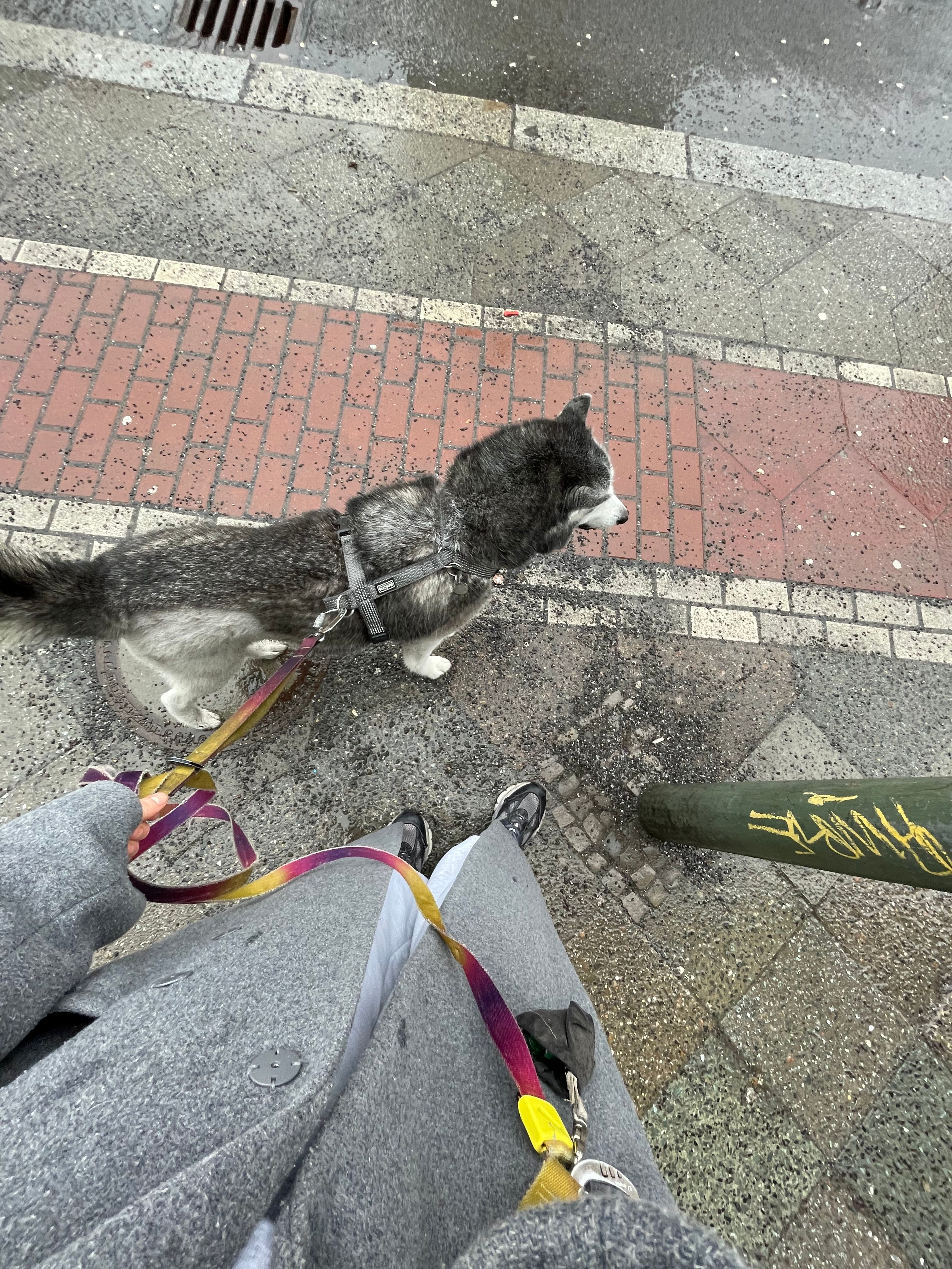 image-4