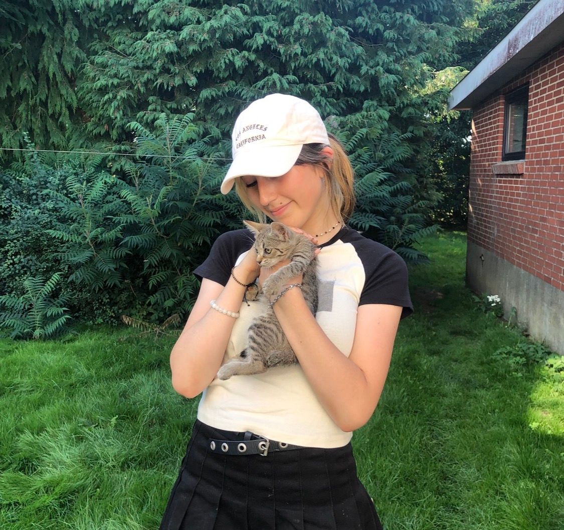 image-6