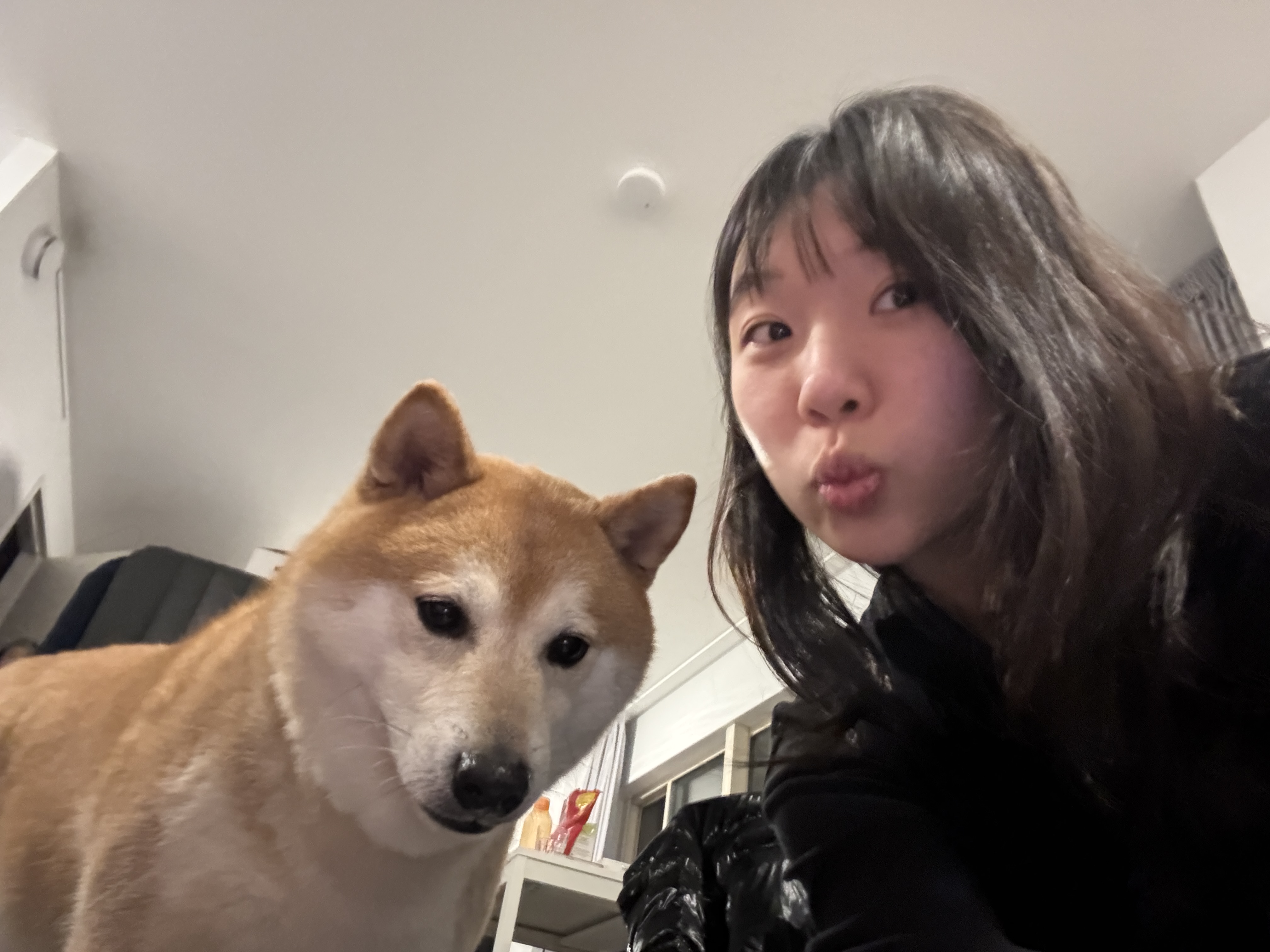 image-6