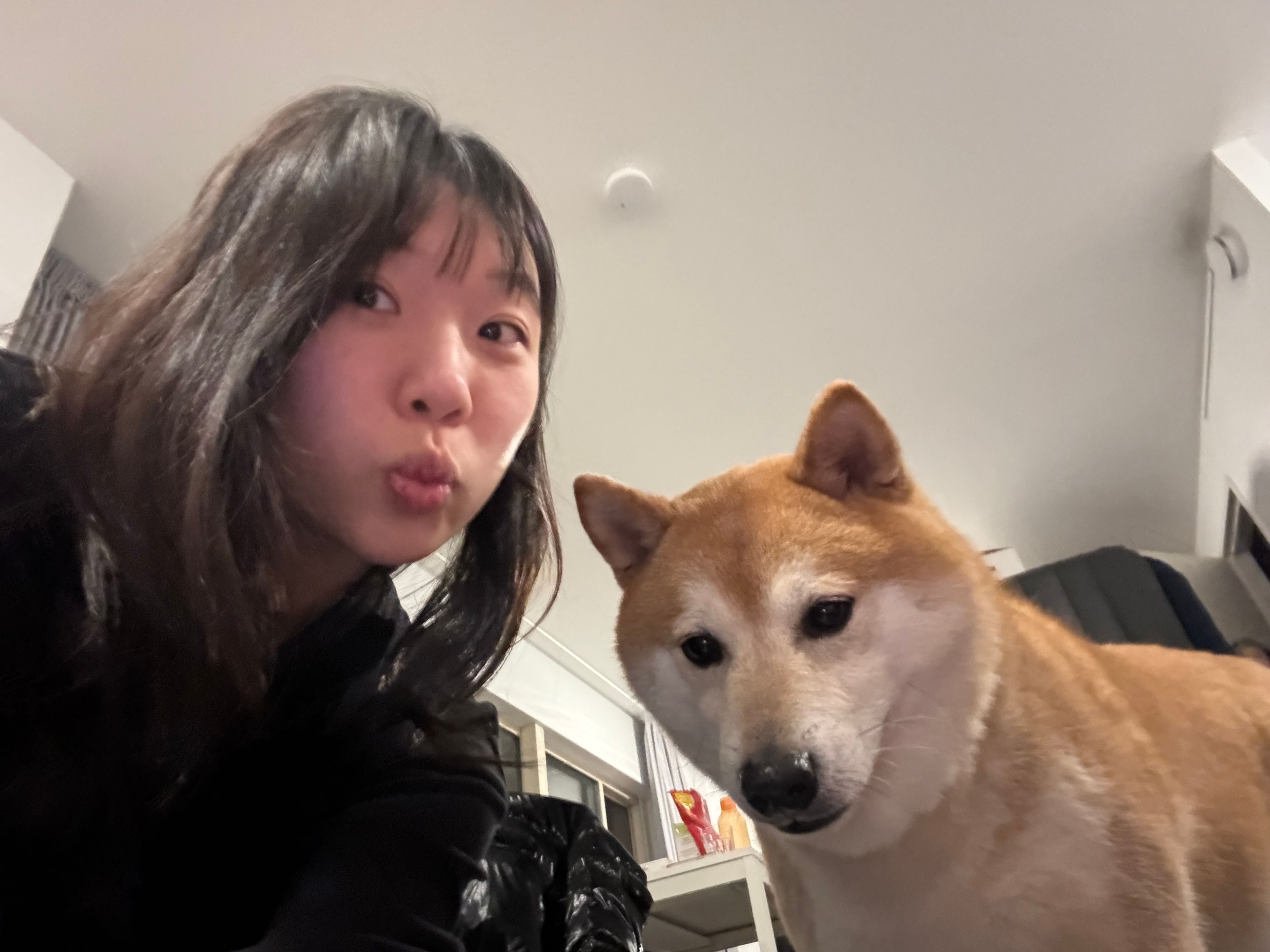 image-6
