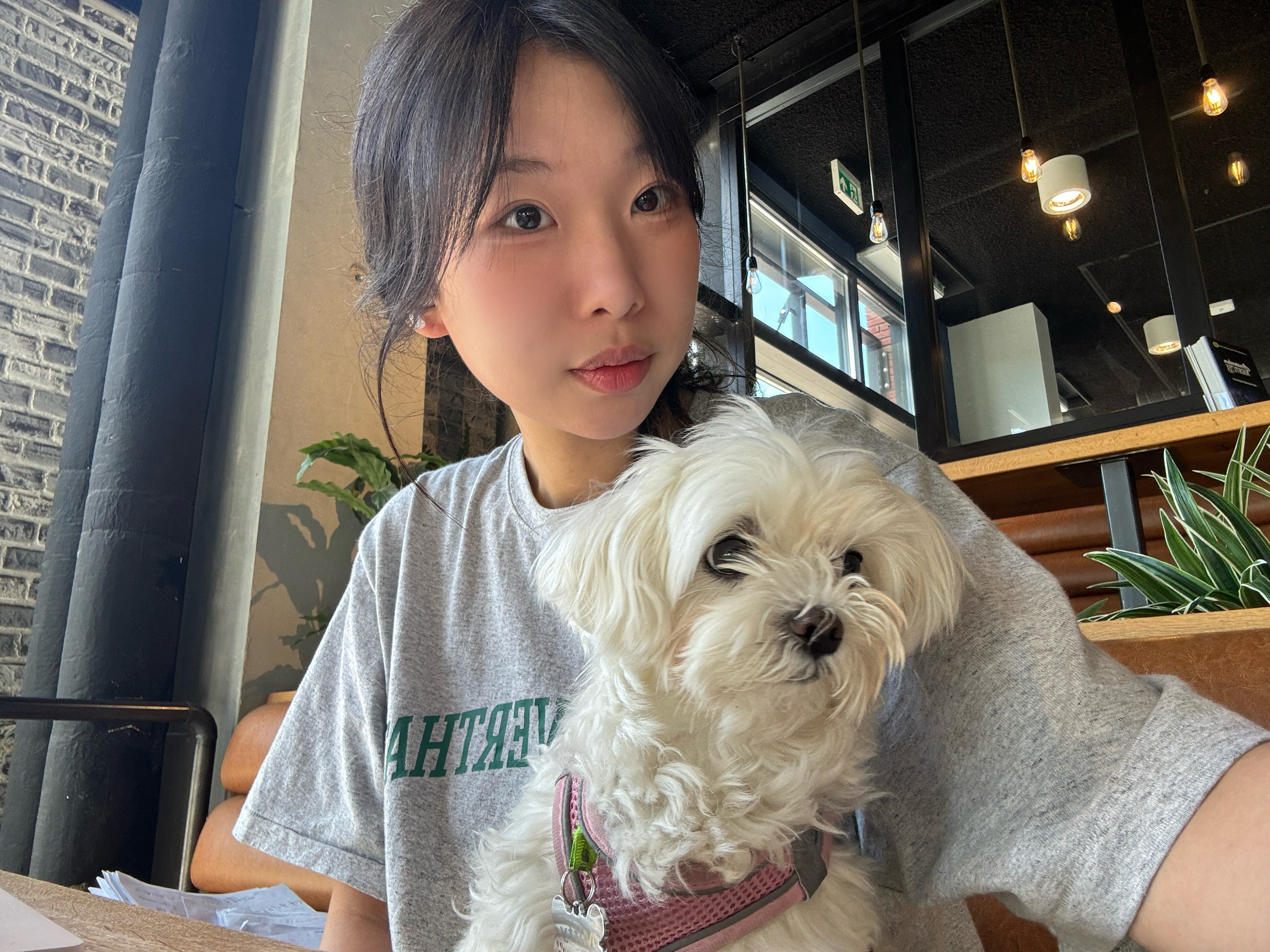 image-4