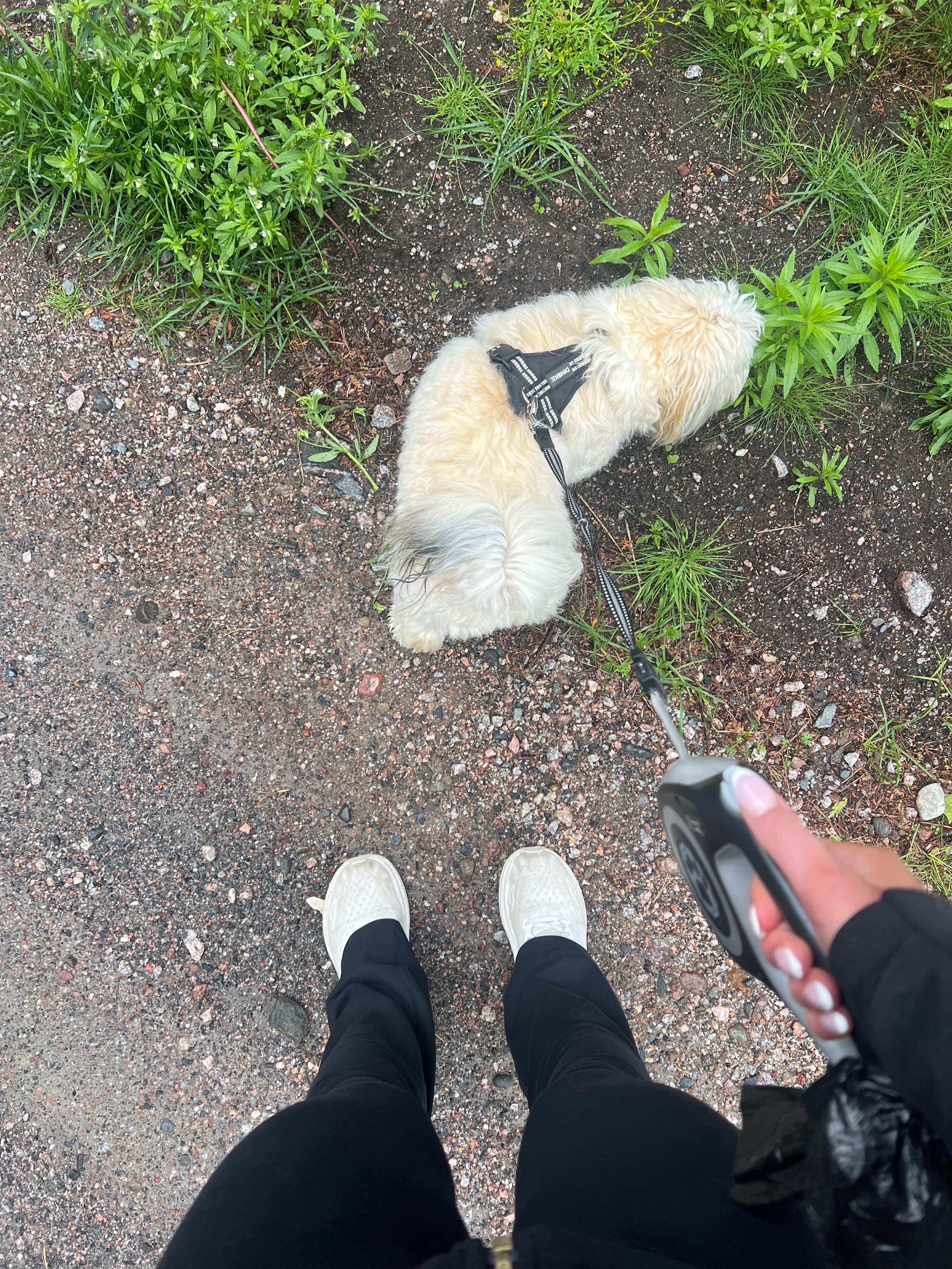 image-5