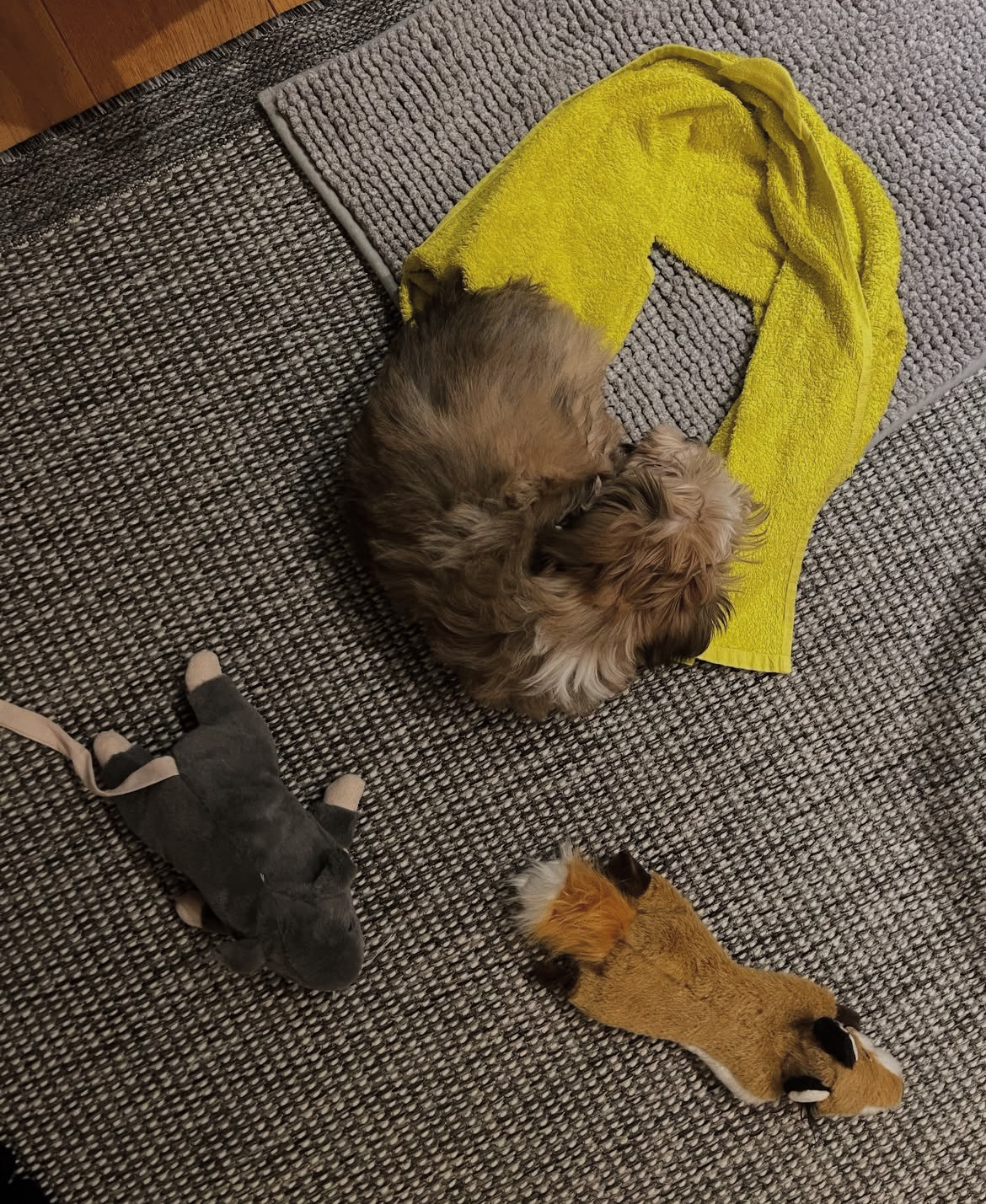 image-8