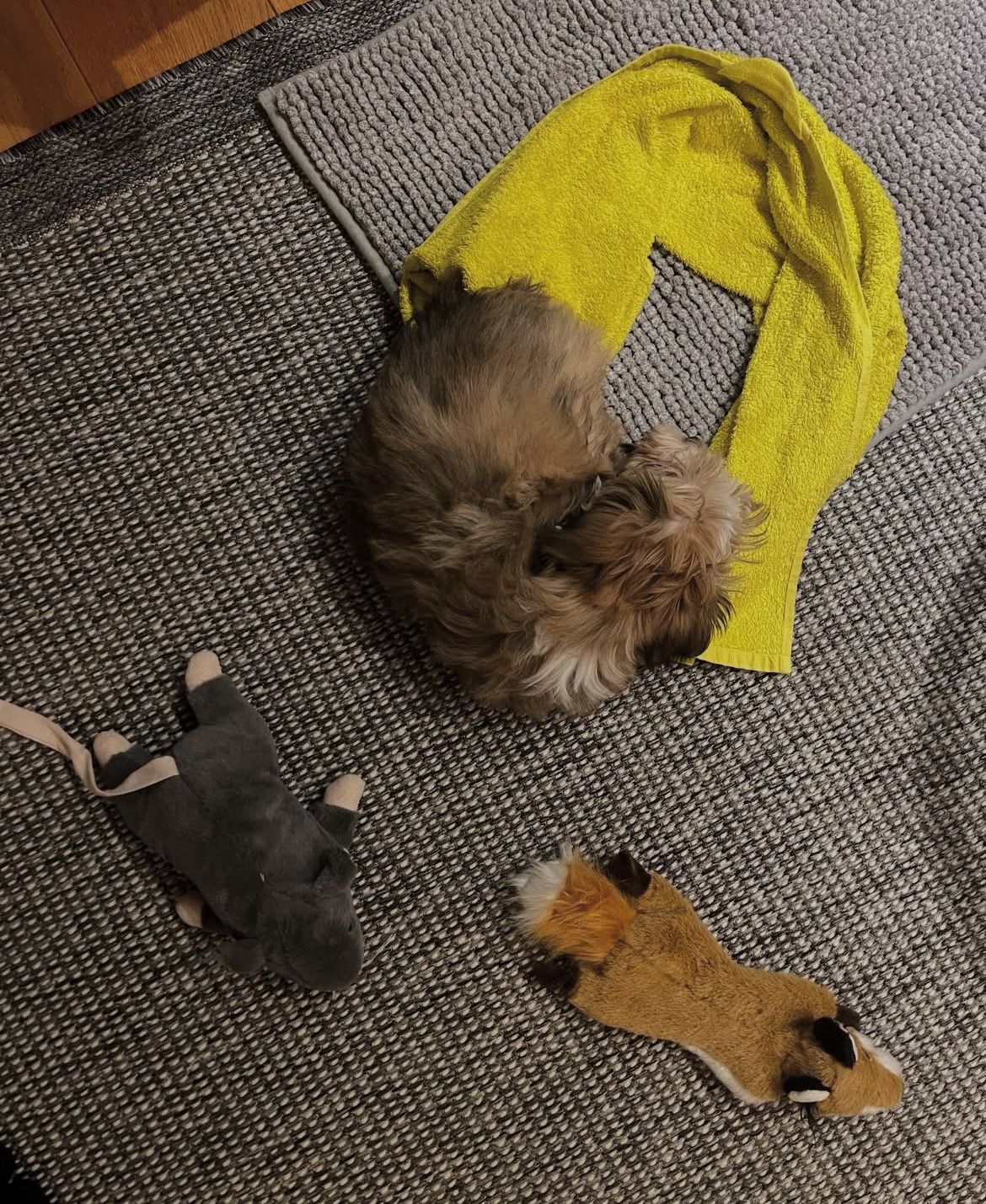 image-8