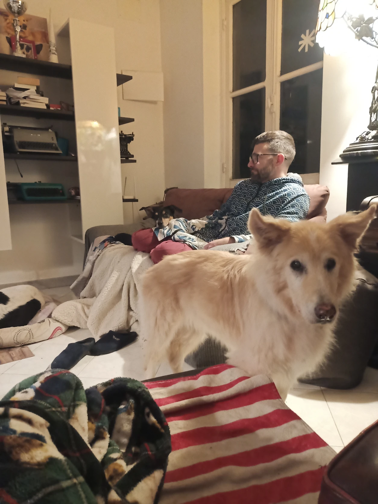 image-7