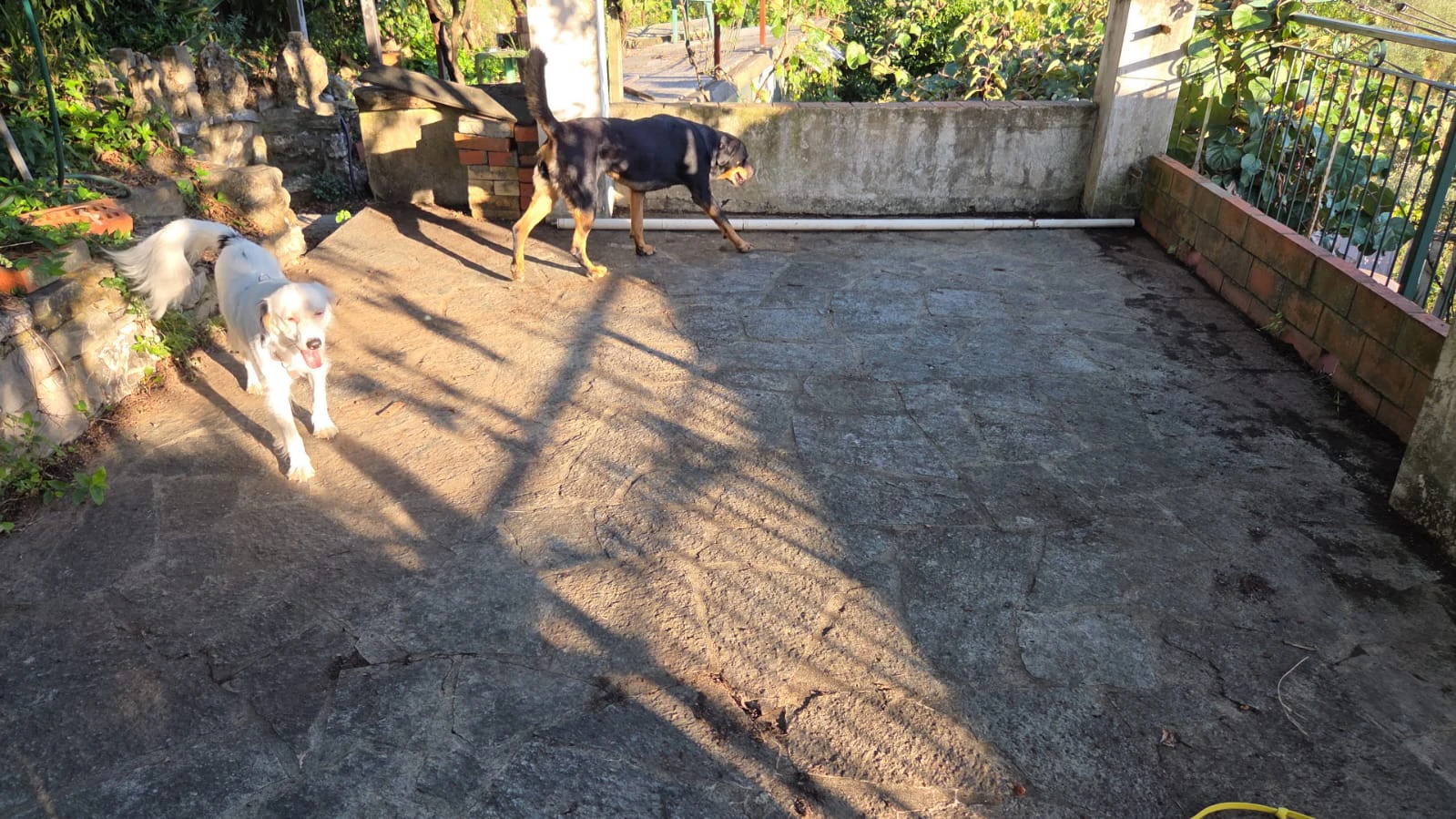image-18