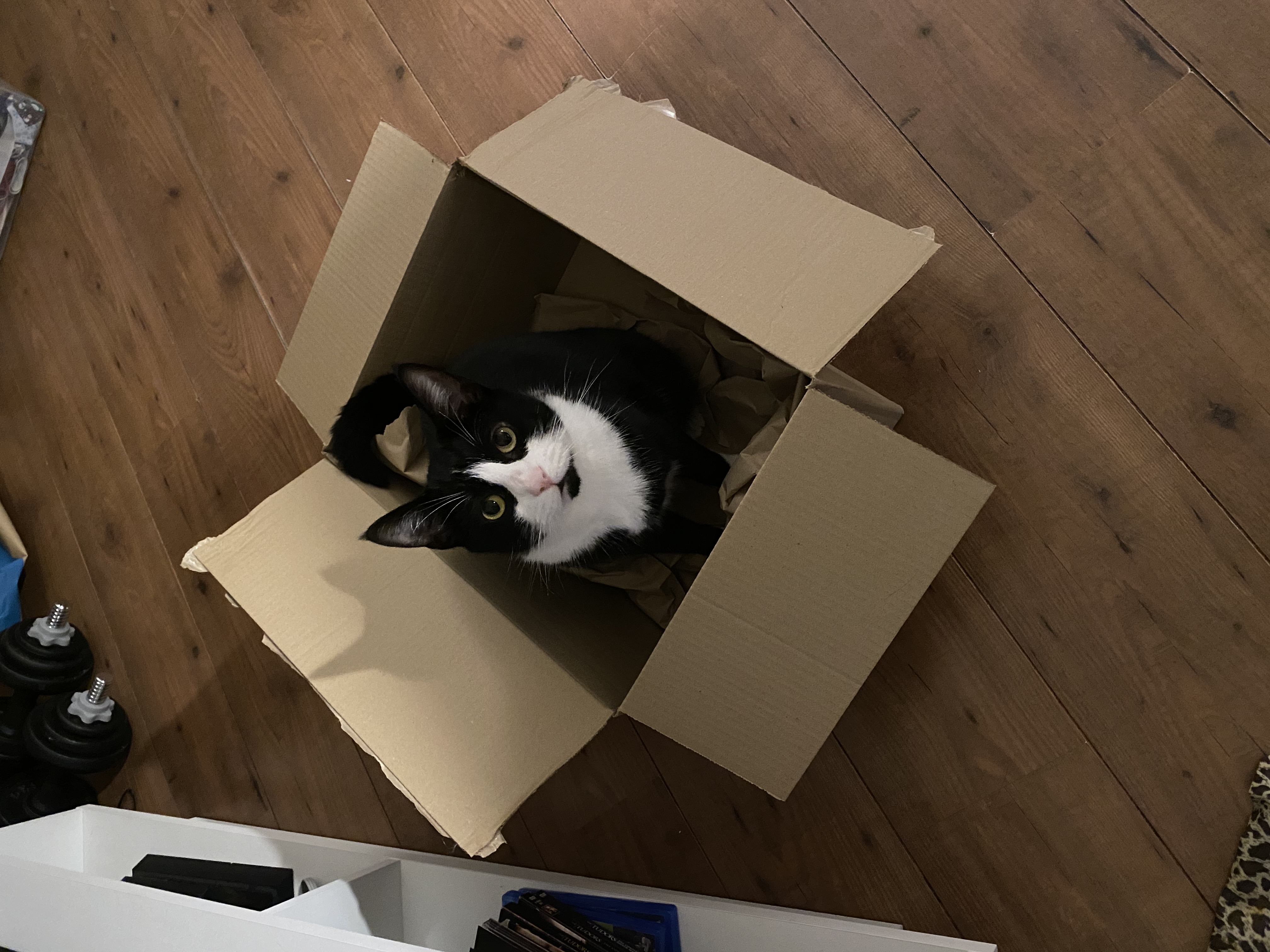 image-11